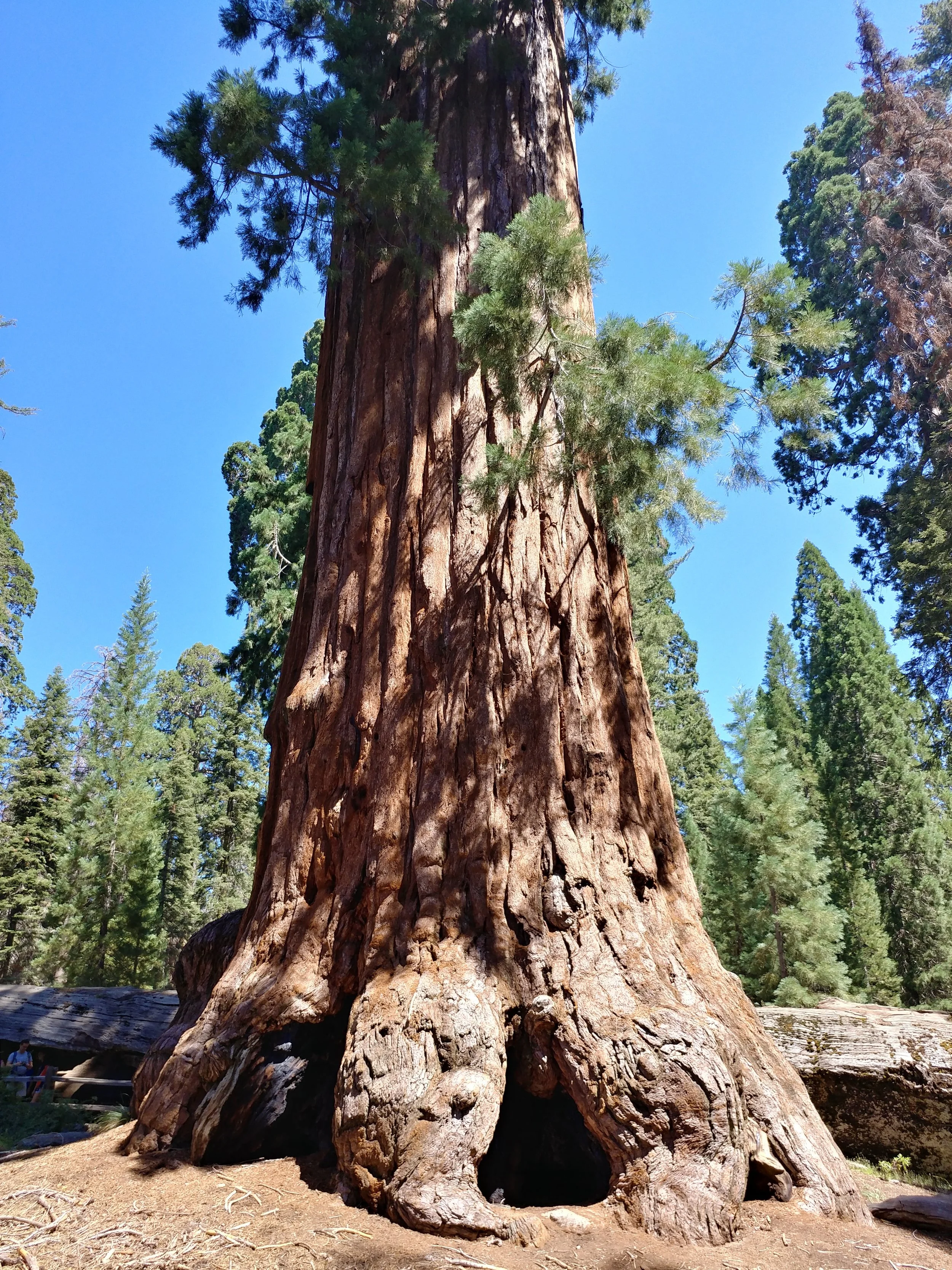 0811171143_HDR.jpg