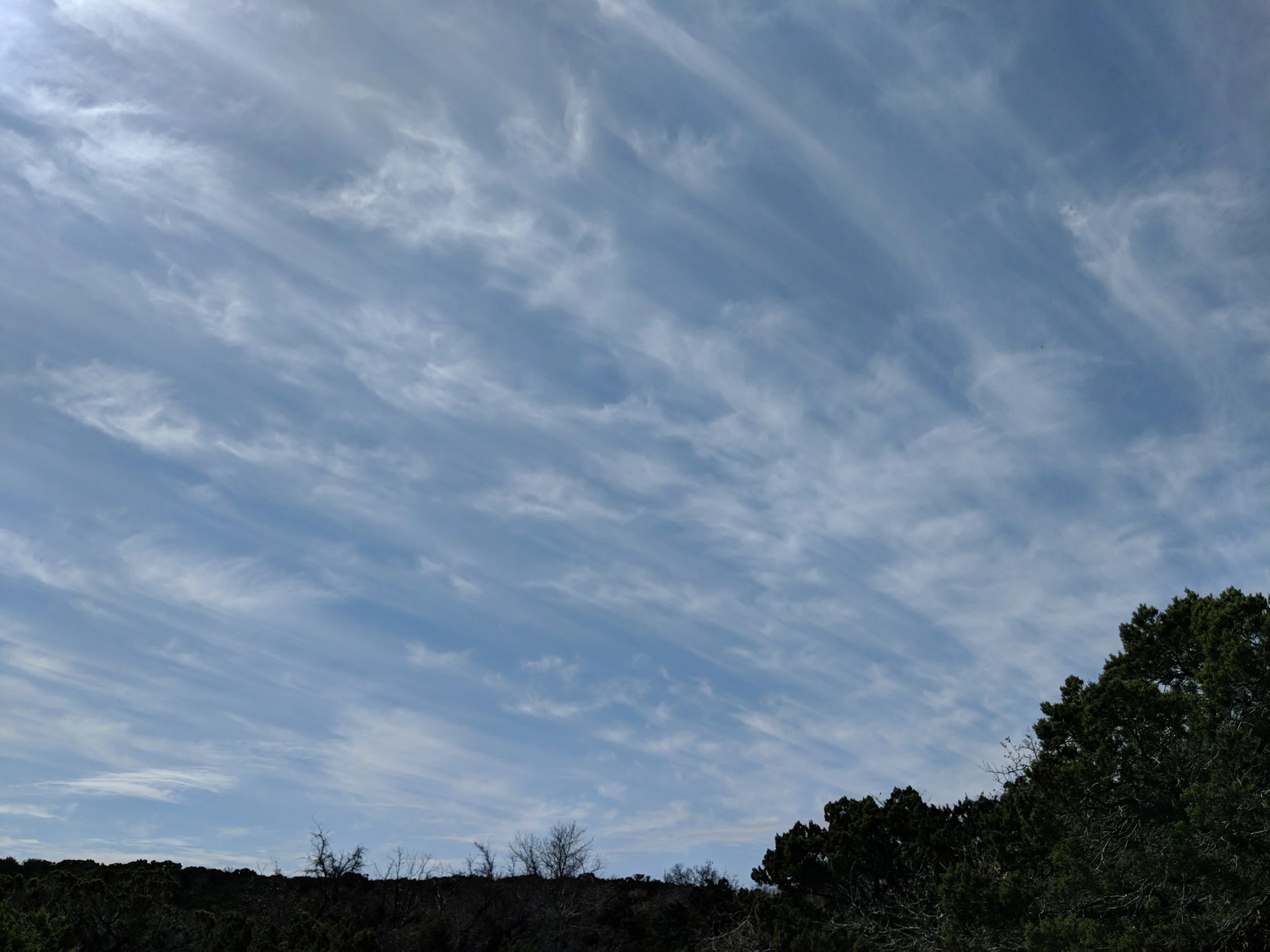 MVIMG_20180303_112907.jpg