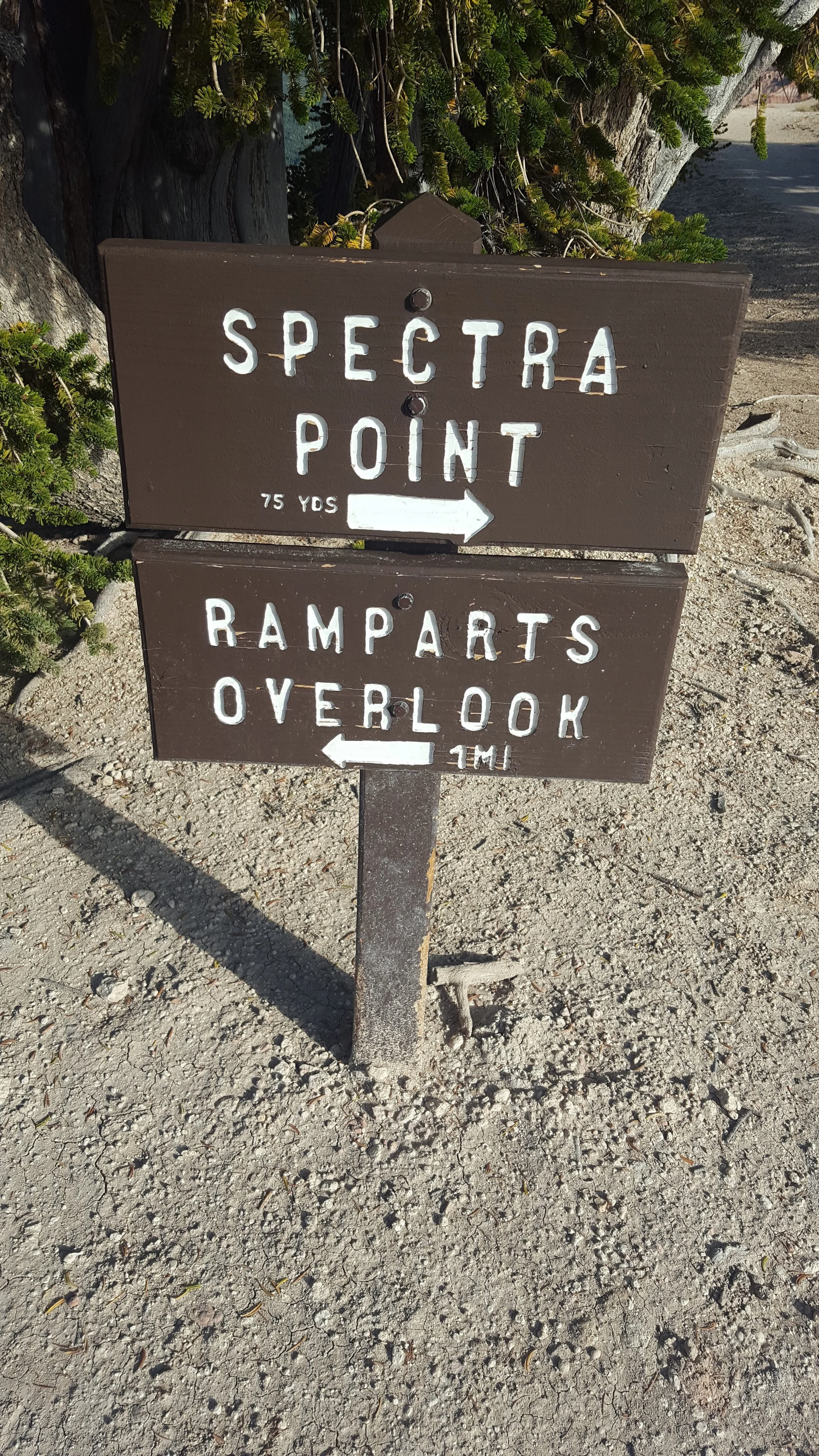 While it was a short hike, it was exhilerating to be walking along the rim.