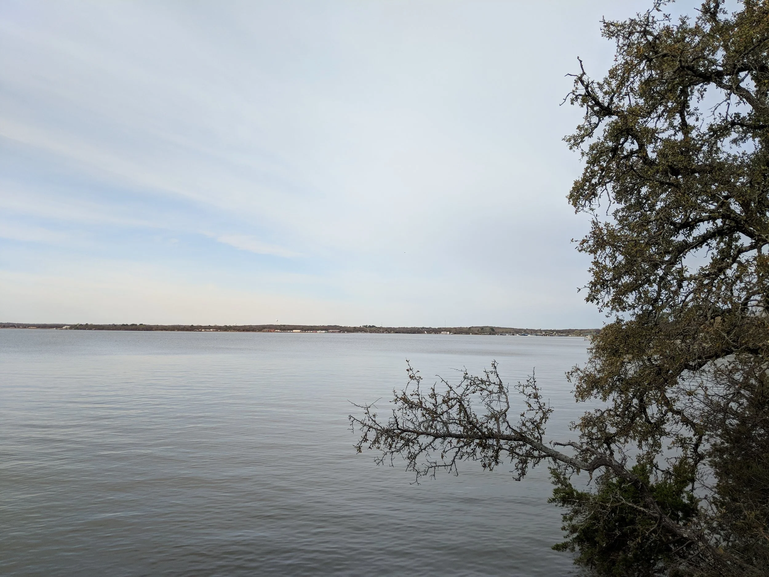 MVIMG_20180317_091516.jpg