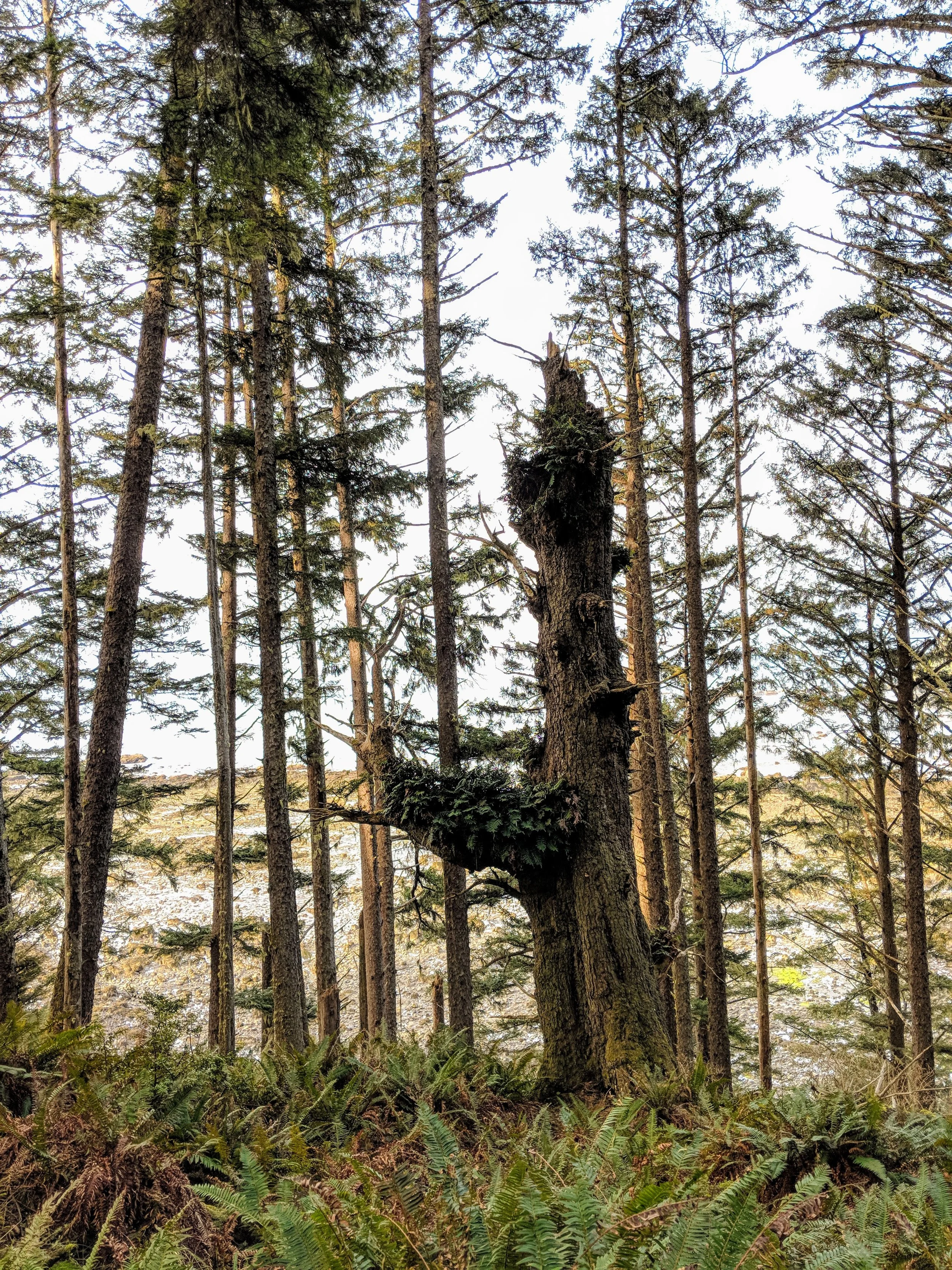 MVIMG_20180331_083730.jpg