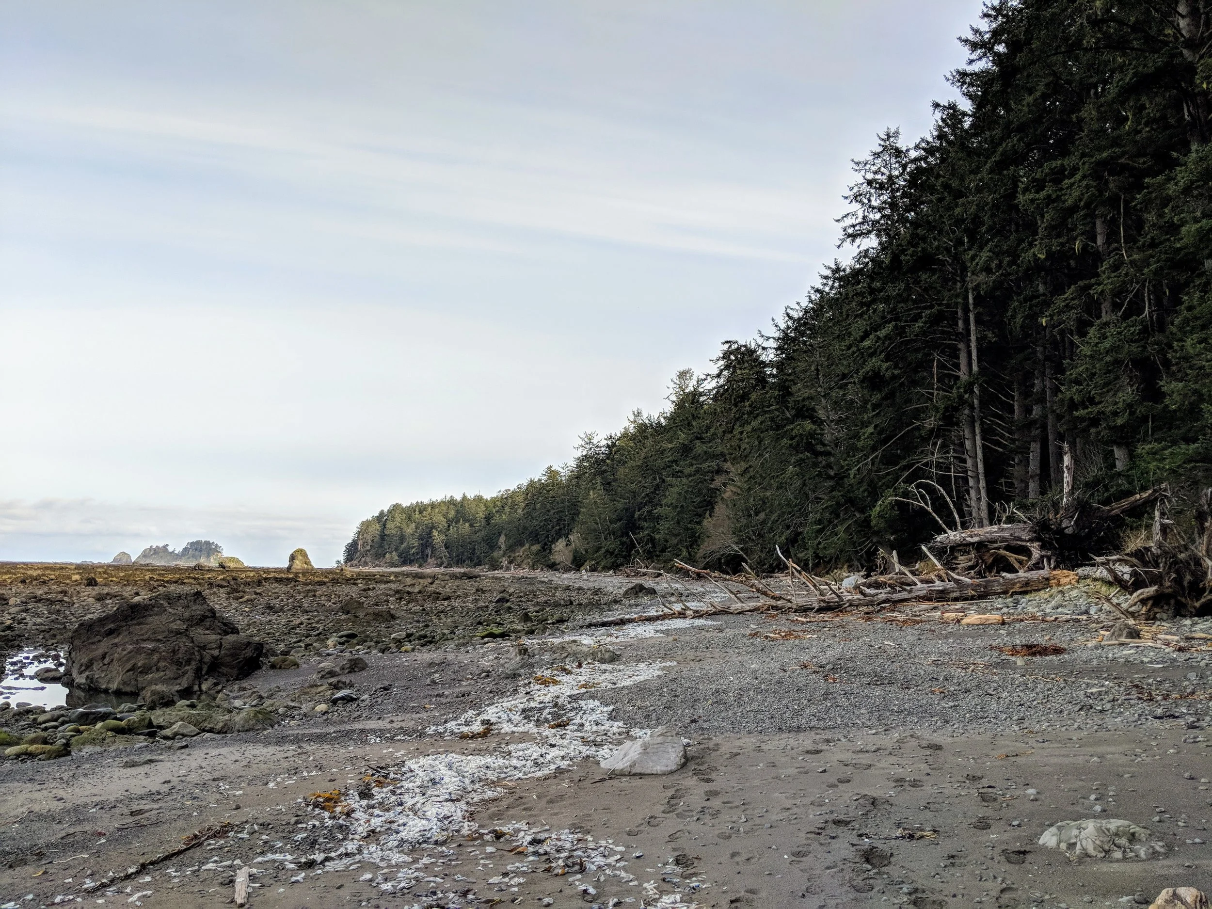 MVIMG_20180331_090628.jpg
