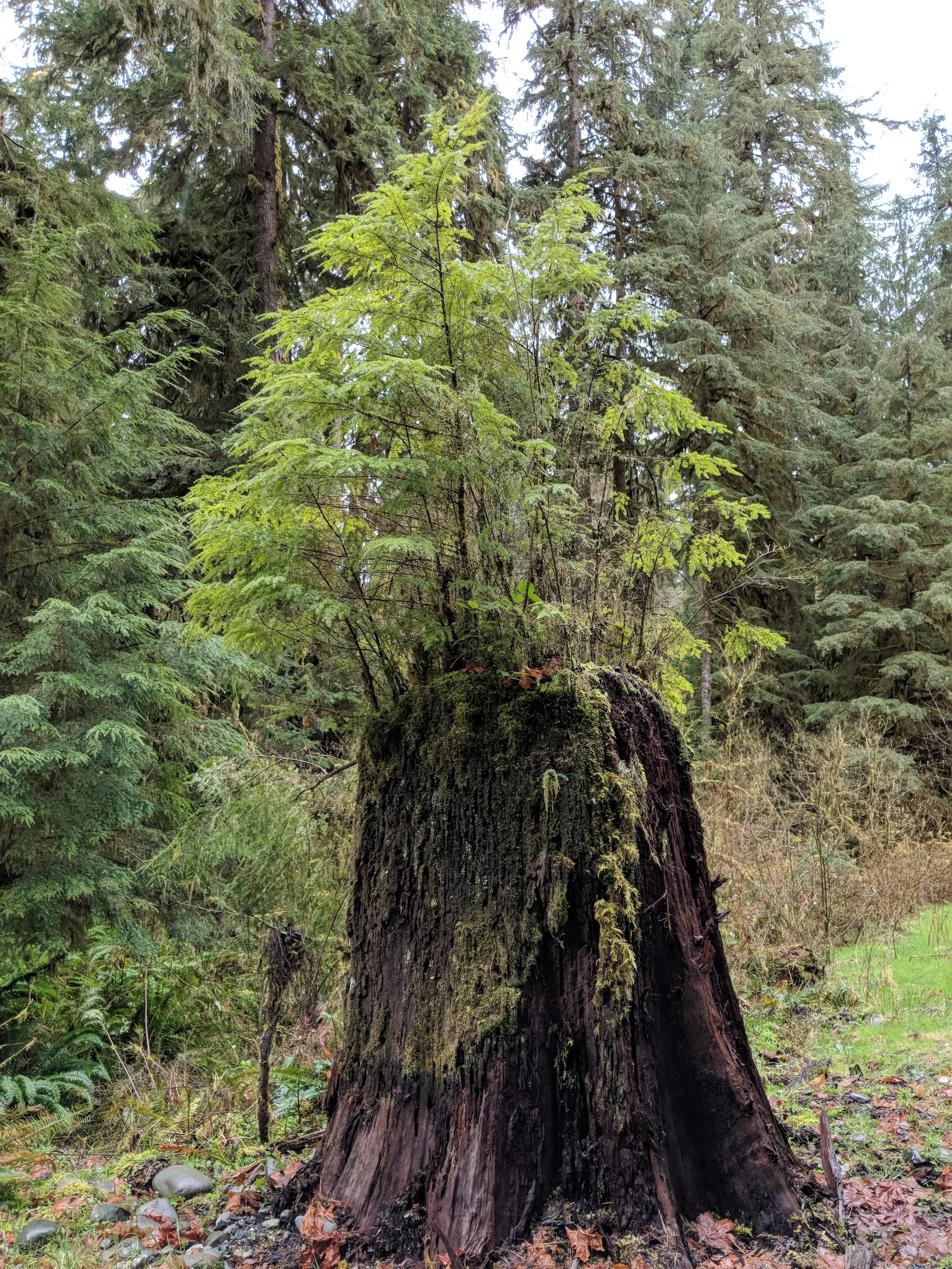 MVIMG_20180401_121912.jpg