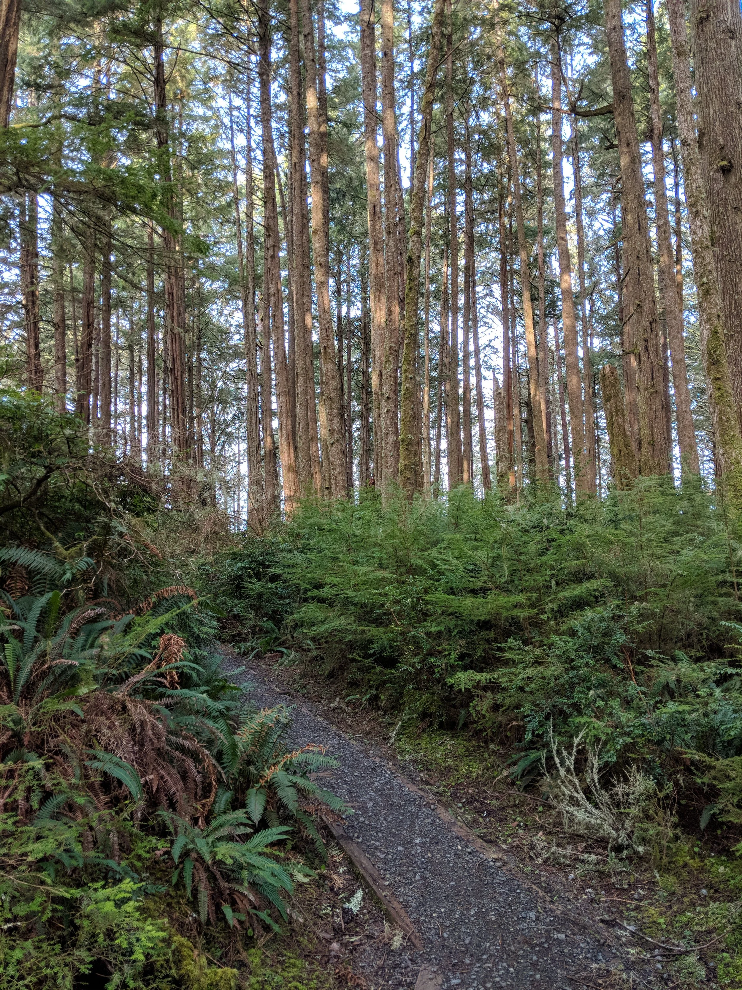 MVIMG_20180331_083547.jpg