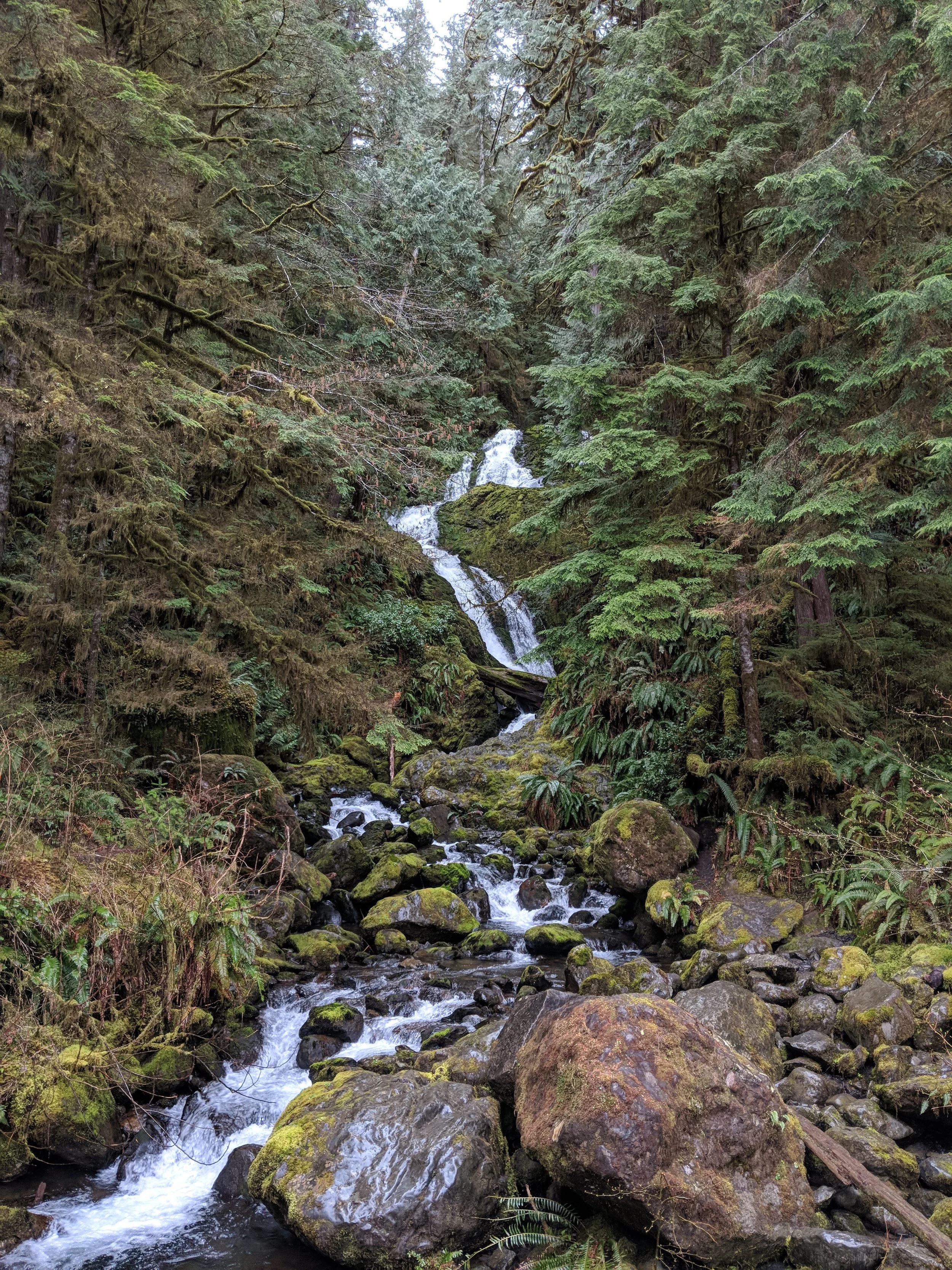 Bunch Falls - just behind the sign in the first photo.