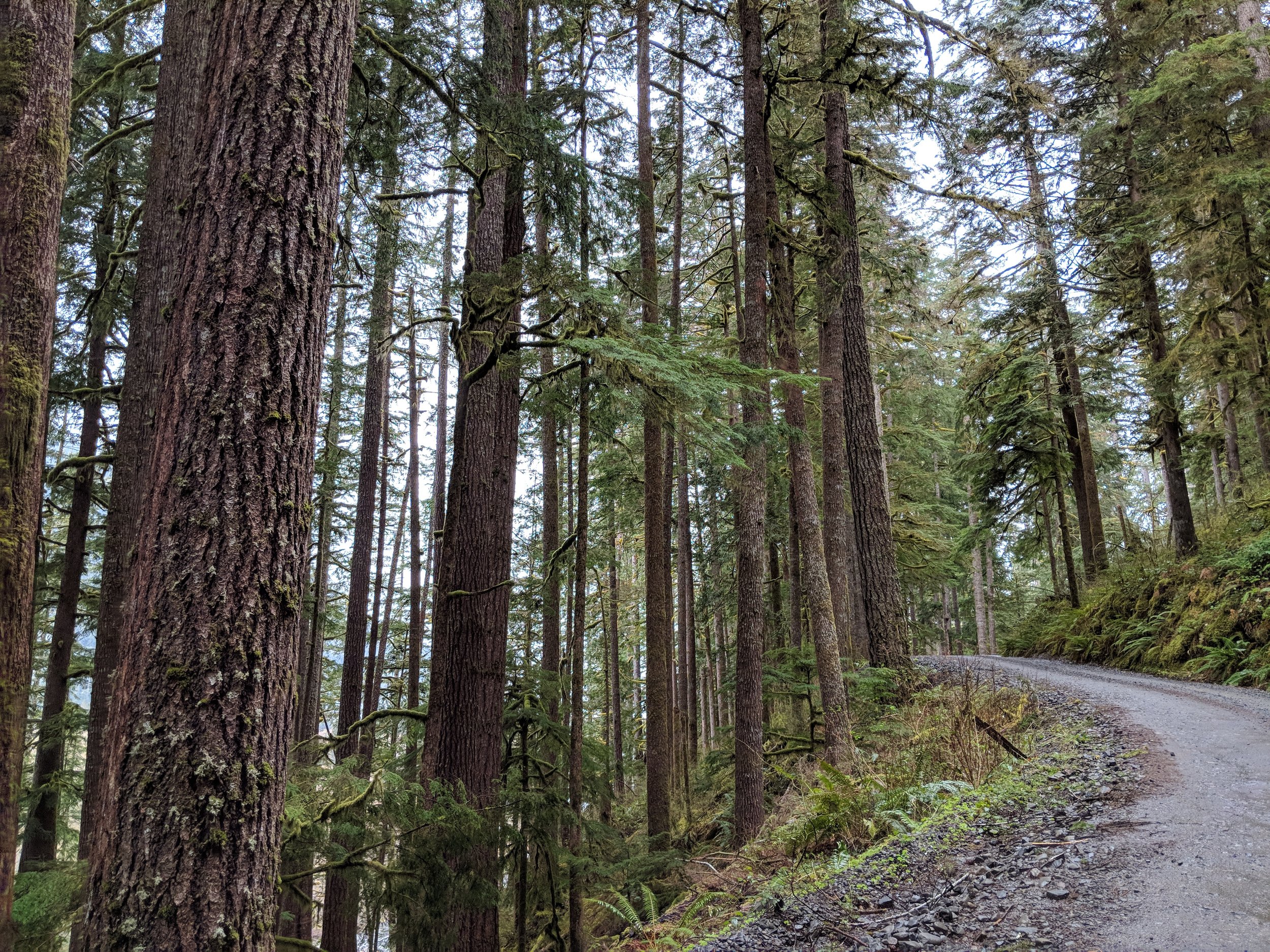 The North Shore Road is more scenic with less houses and resort stuff overall. Here's a narrow spot with a steep drop-off!