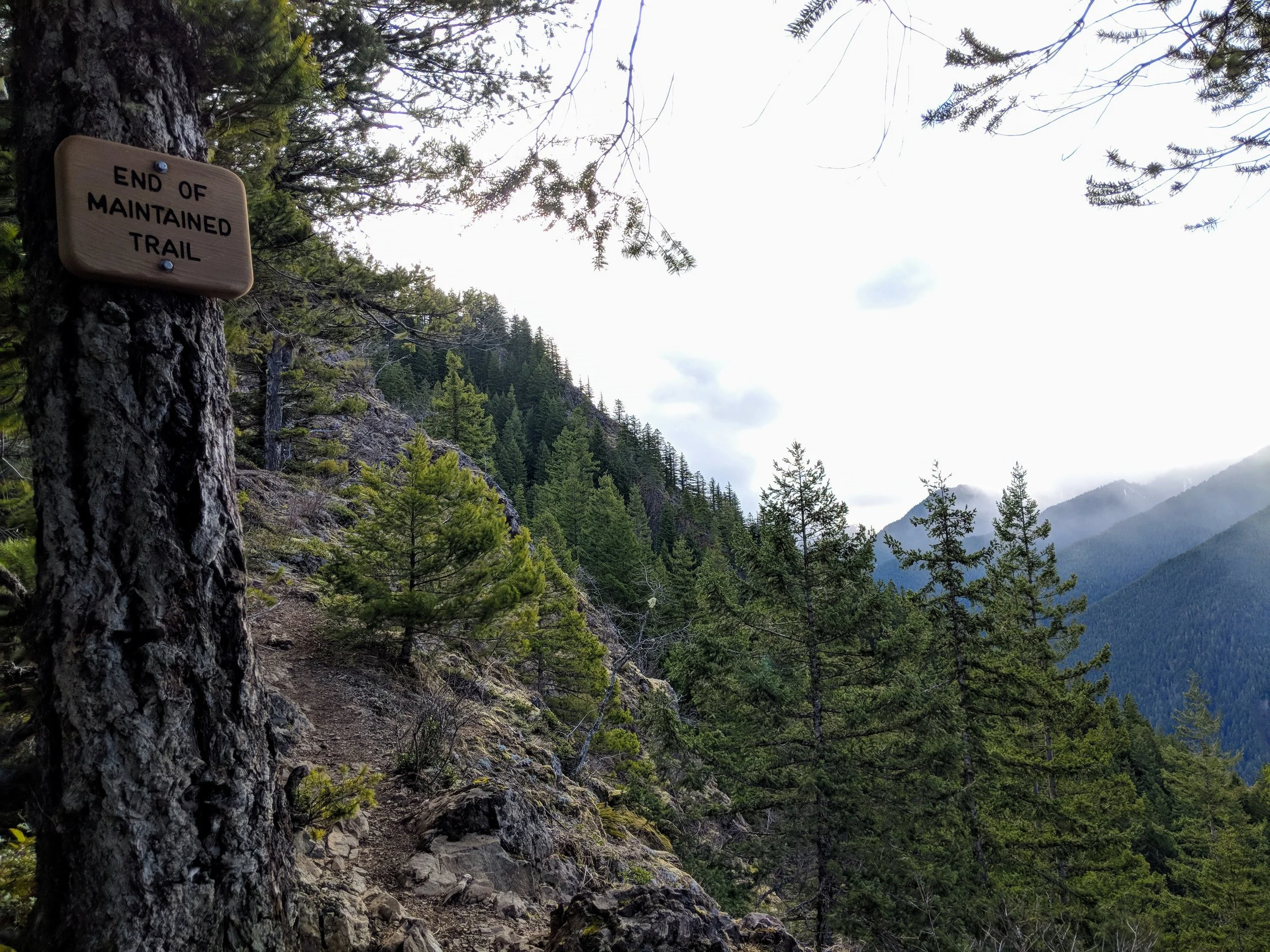 MVIMG_20180330_090949.jpg