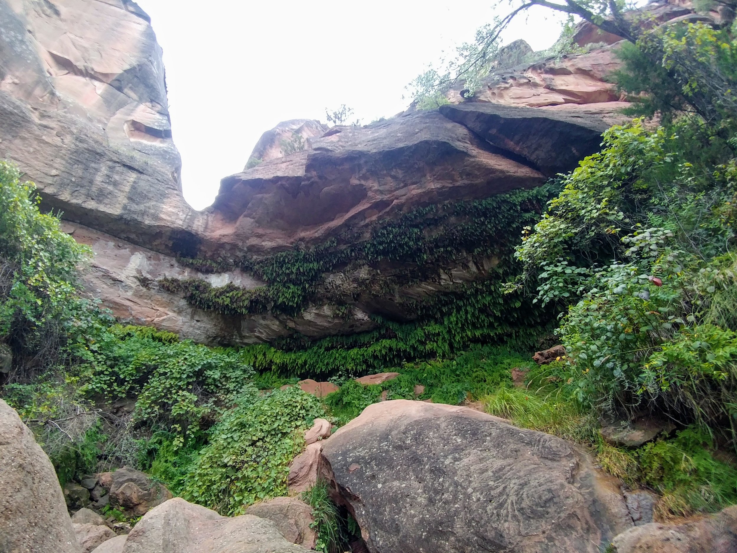 Fern Cave!