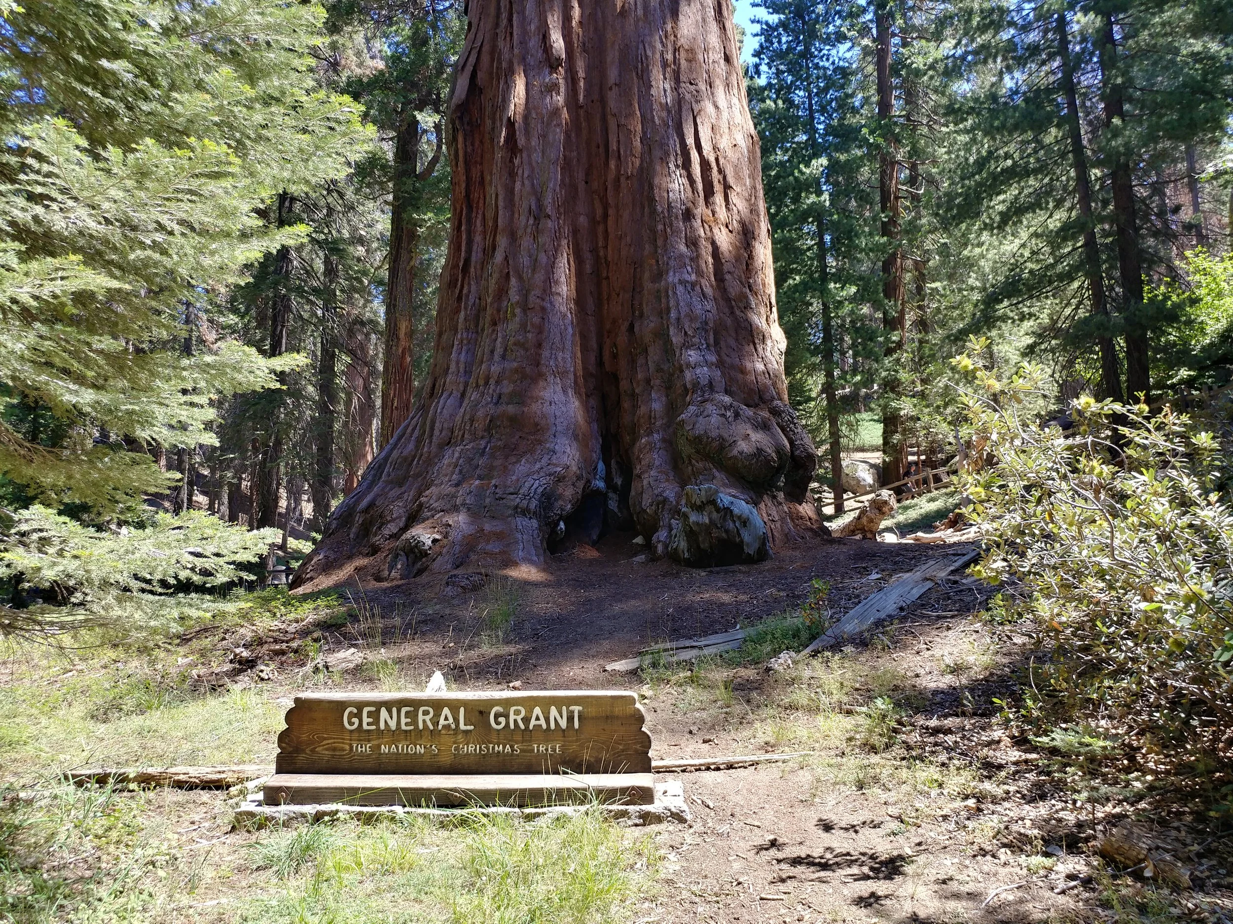 0811171200_HDR.jpg