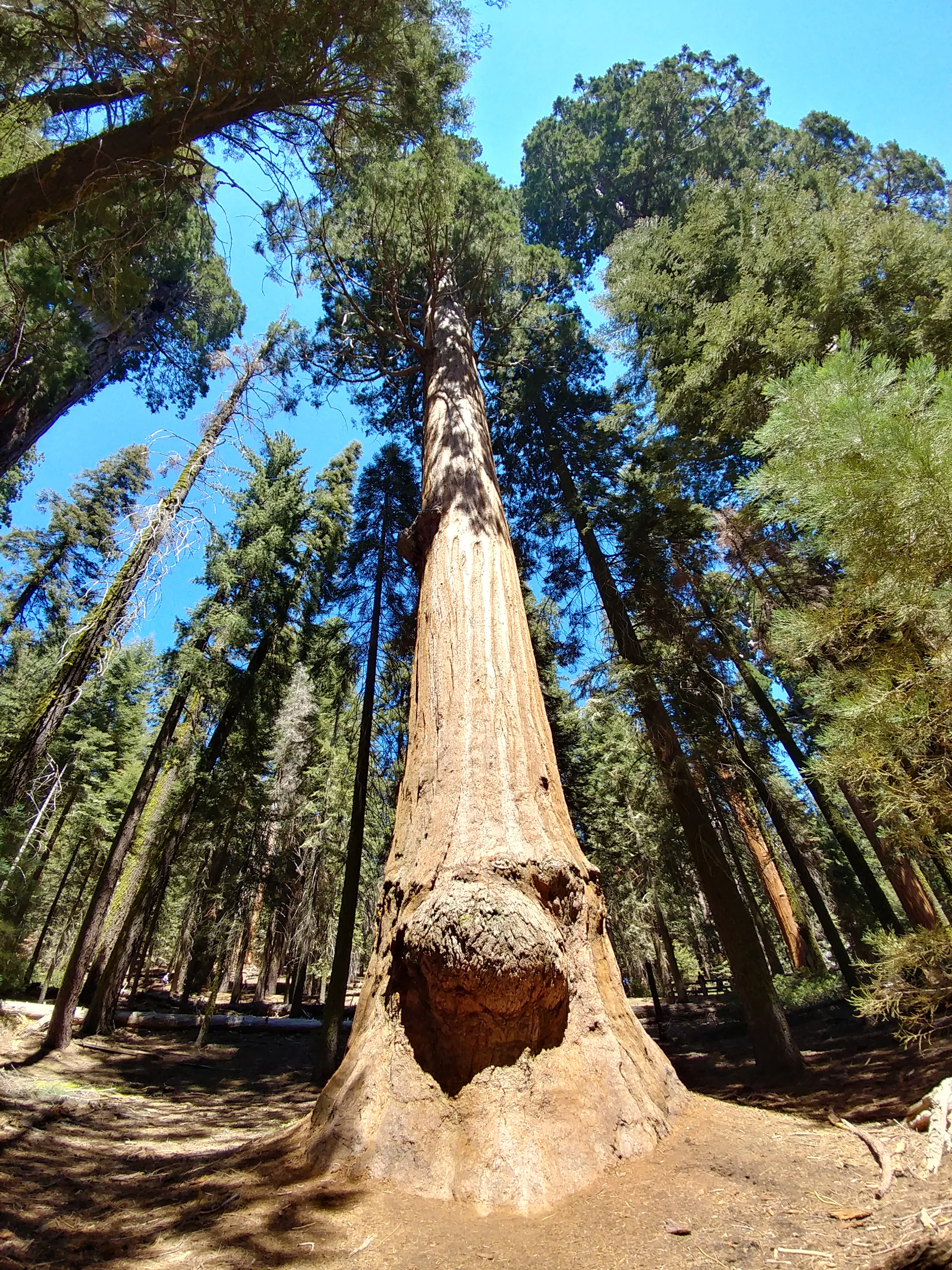 0811171344_HDR.jpg