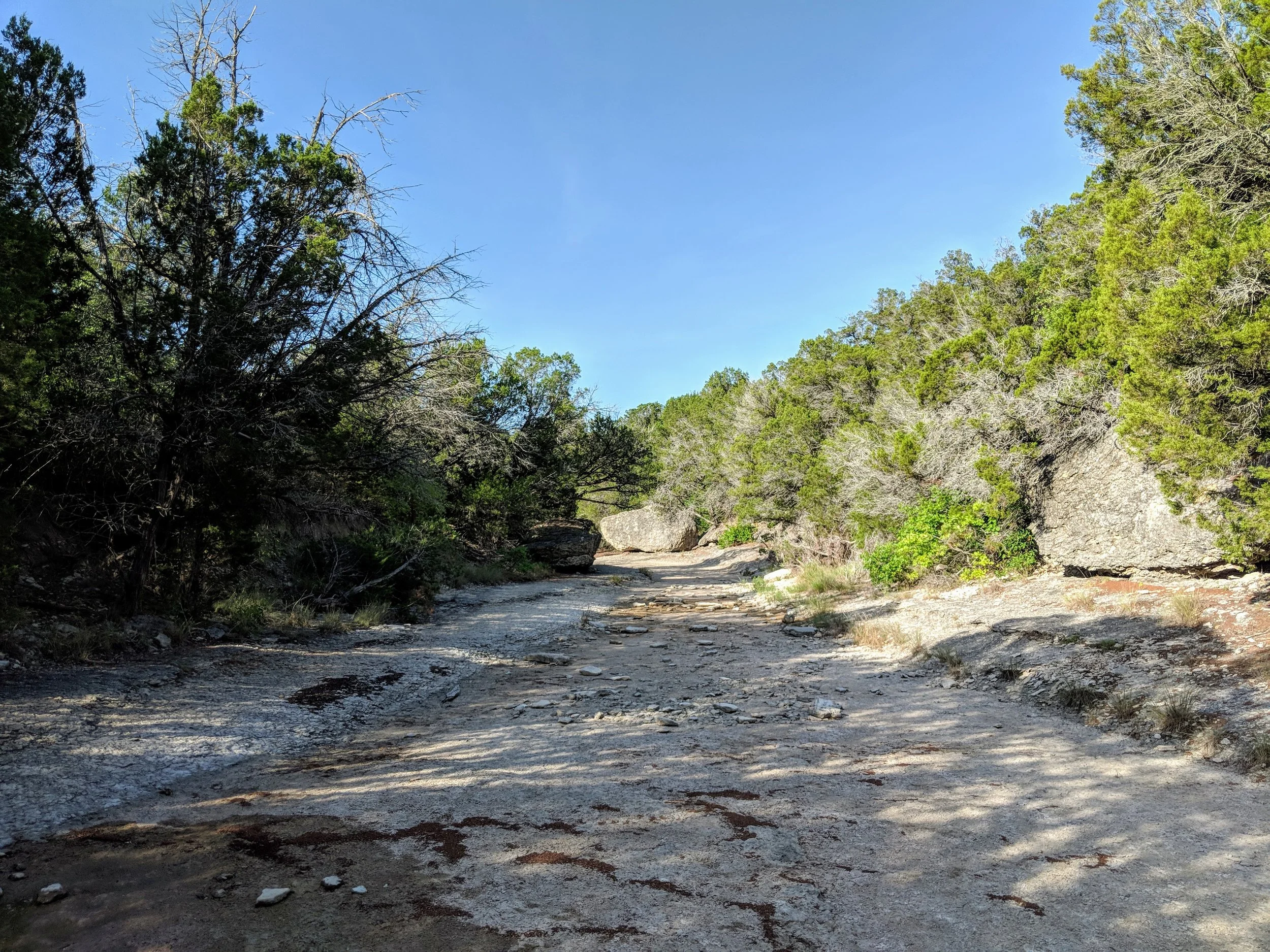MVIMG_20180714_085744.jpg