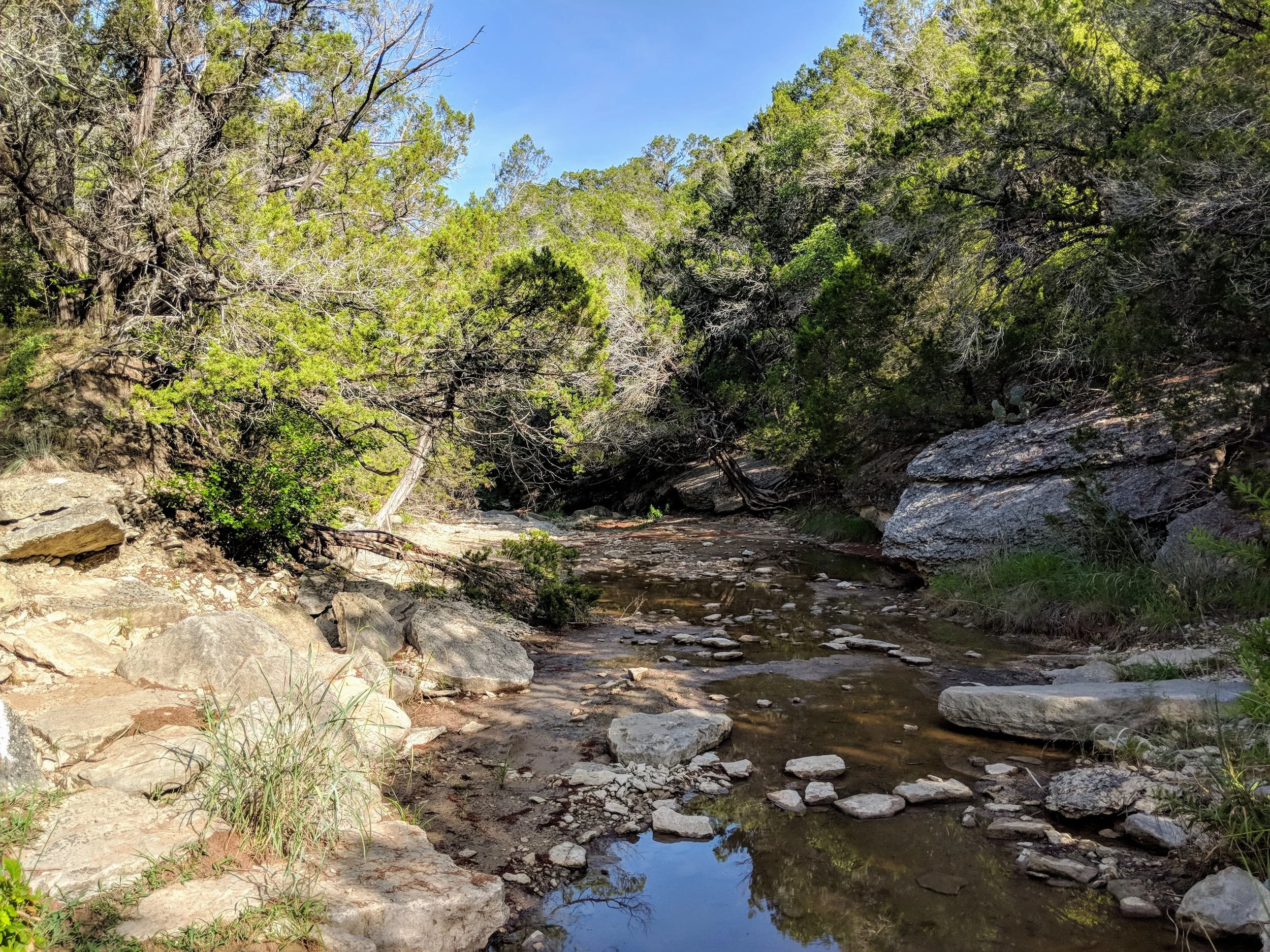 IMG_20180714_091823.jpg
