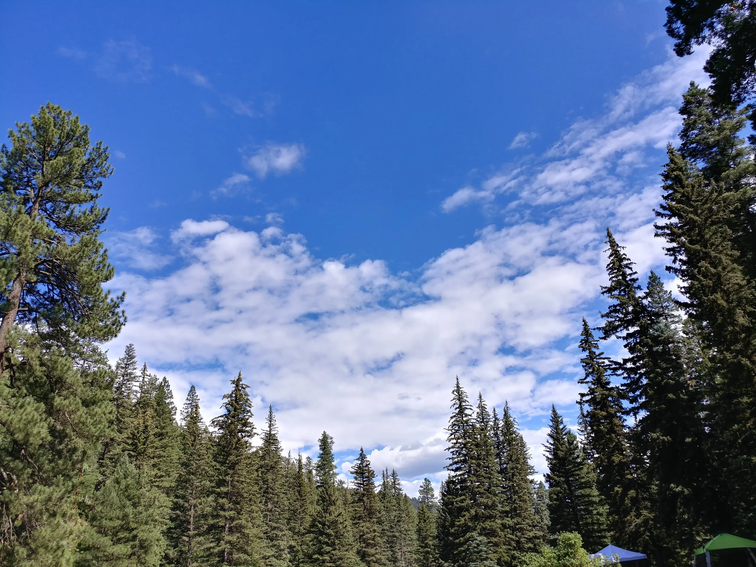 0715171547_HDR.jpg