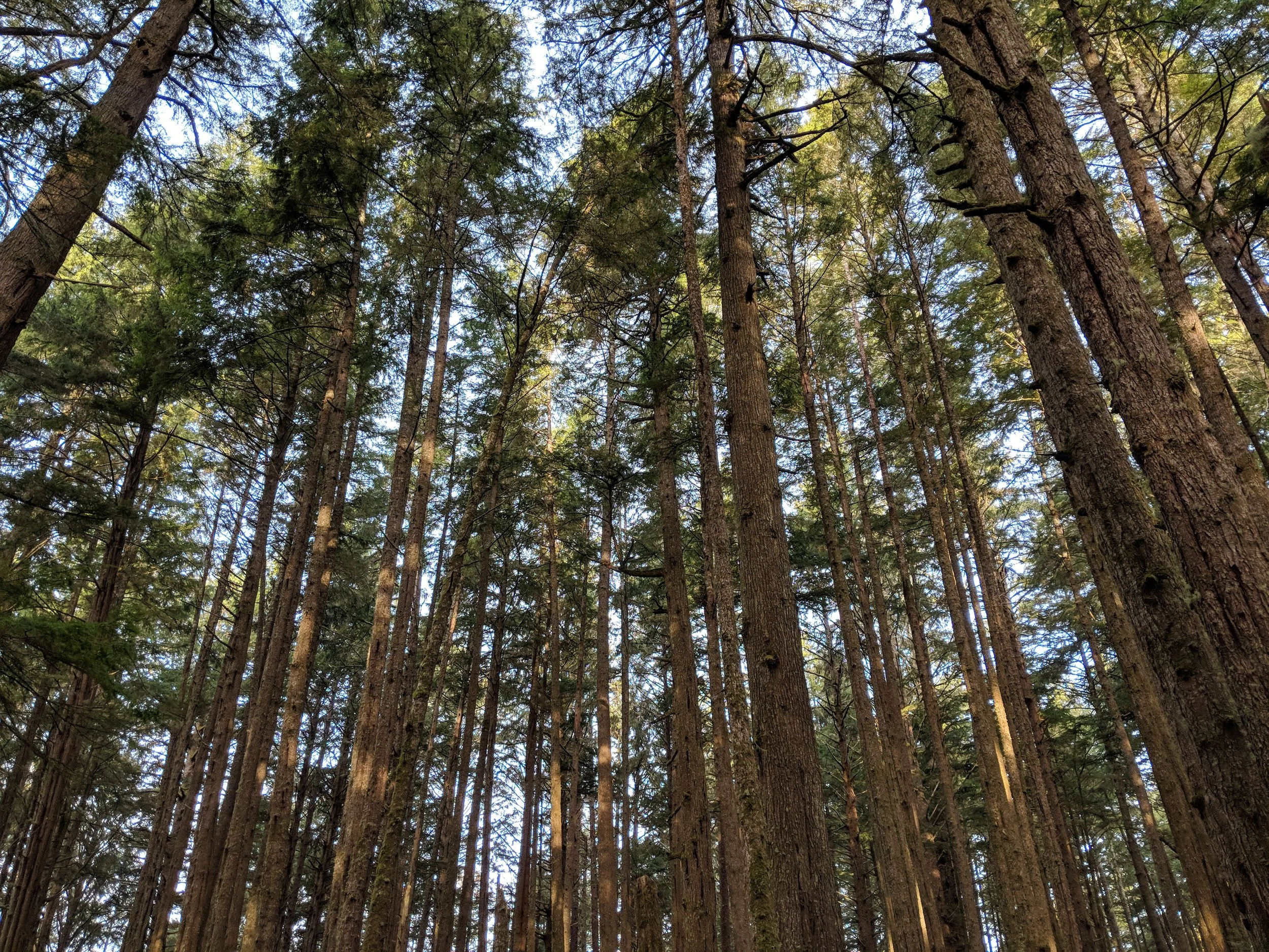 MVIMG_20180331_083540.jpg