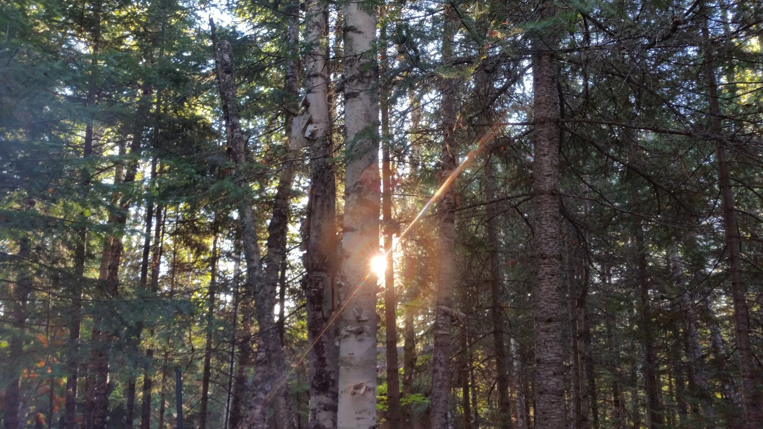 20150919_073650.jpg