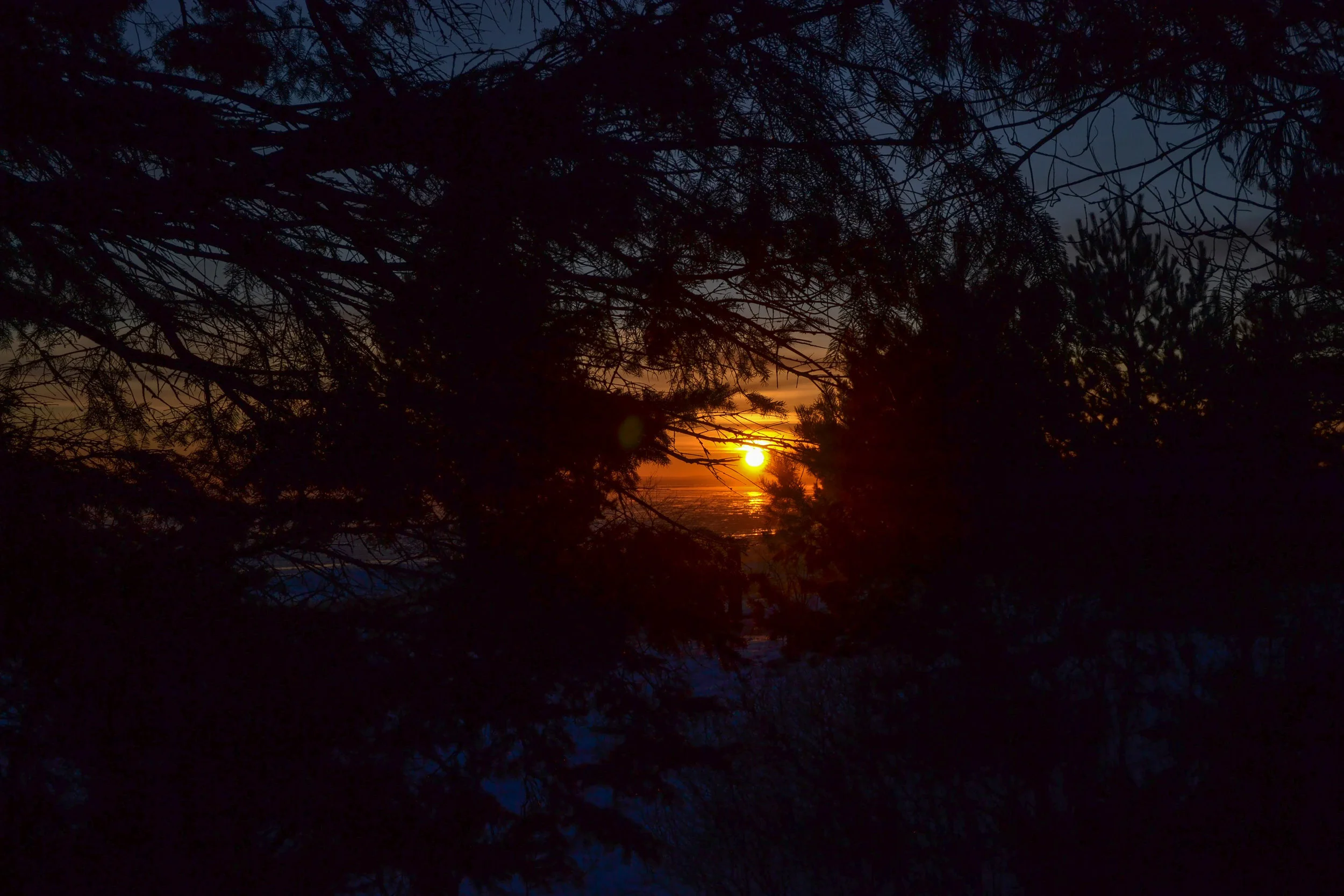 DSC_0184.jpg