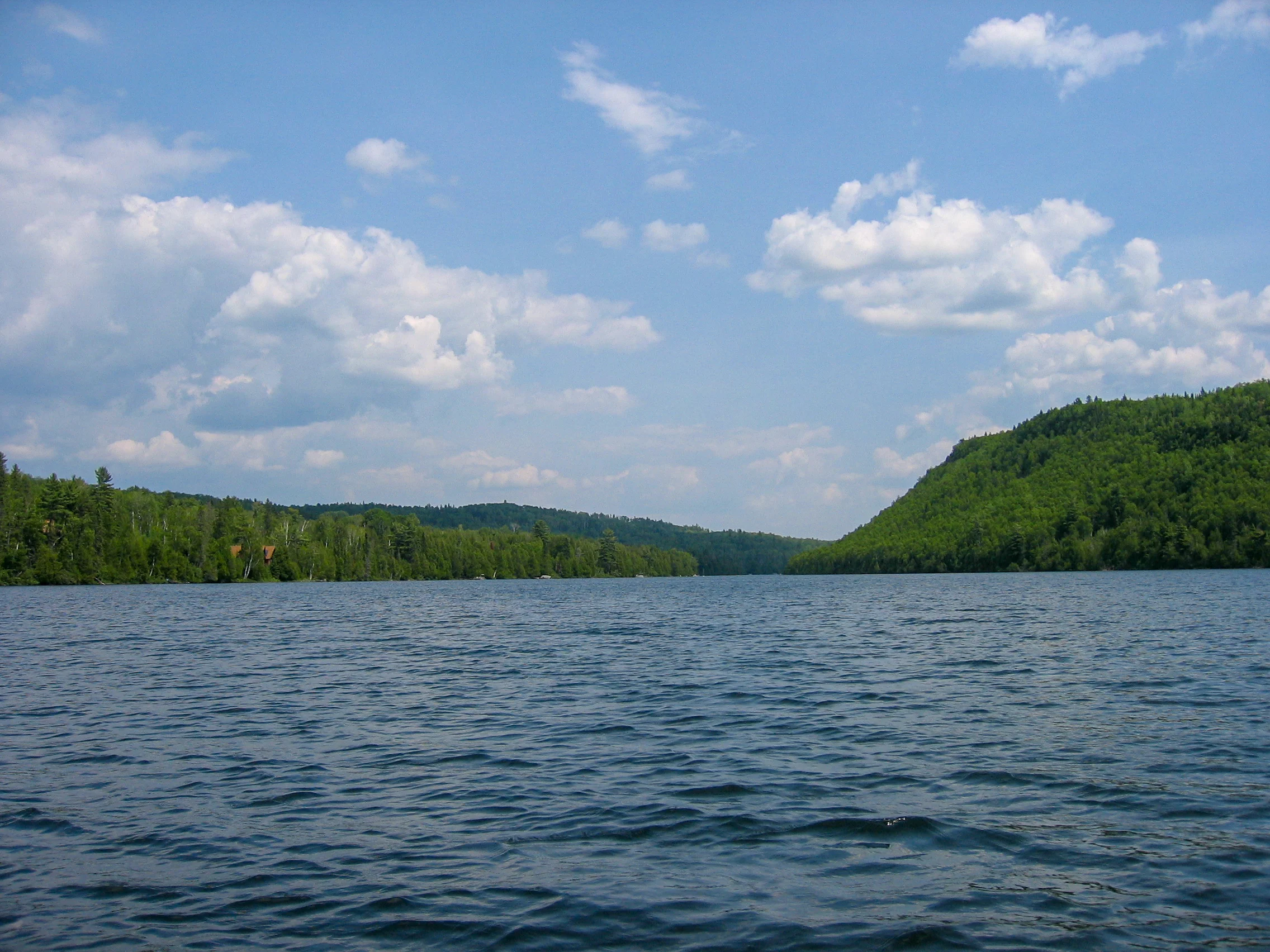 The only way to the cabin is by boat (or bushwhacking through the woods)