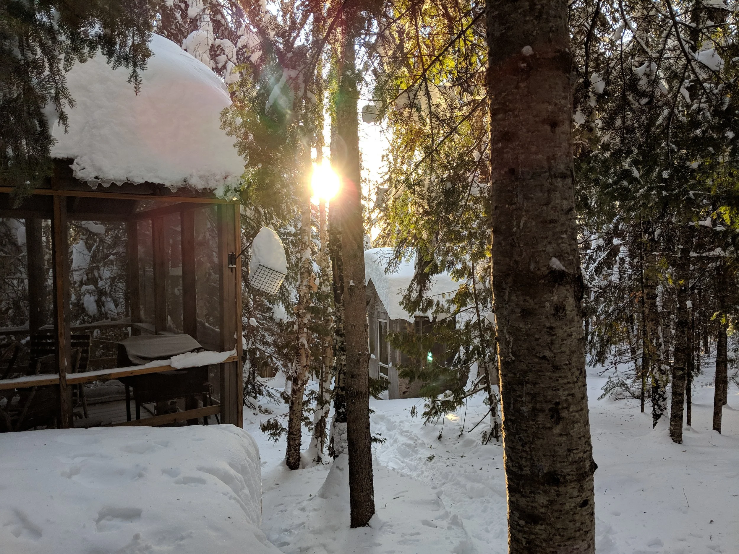 View from the cabin down the path back to the lake, at sunrise