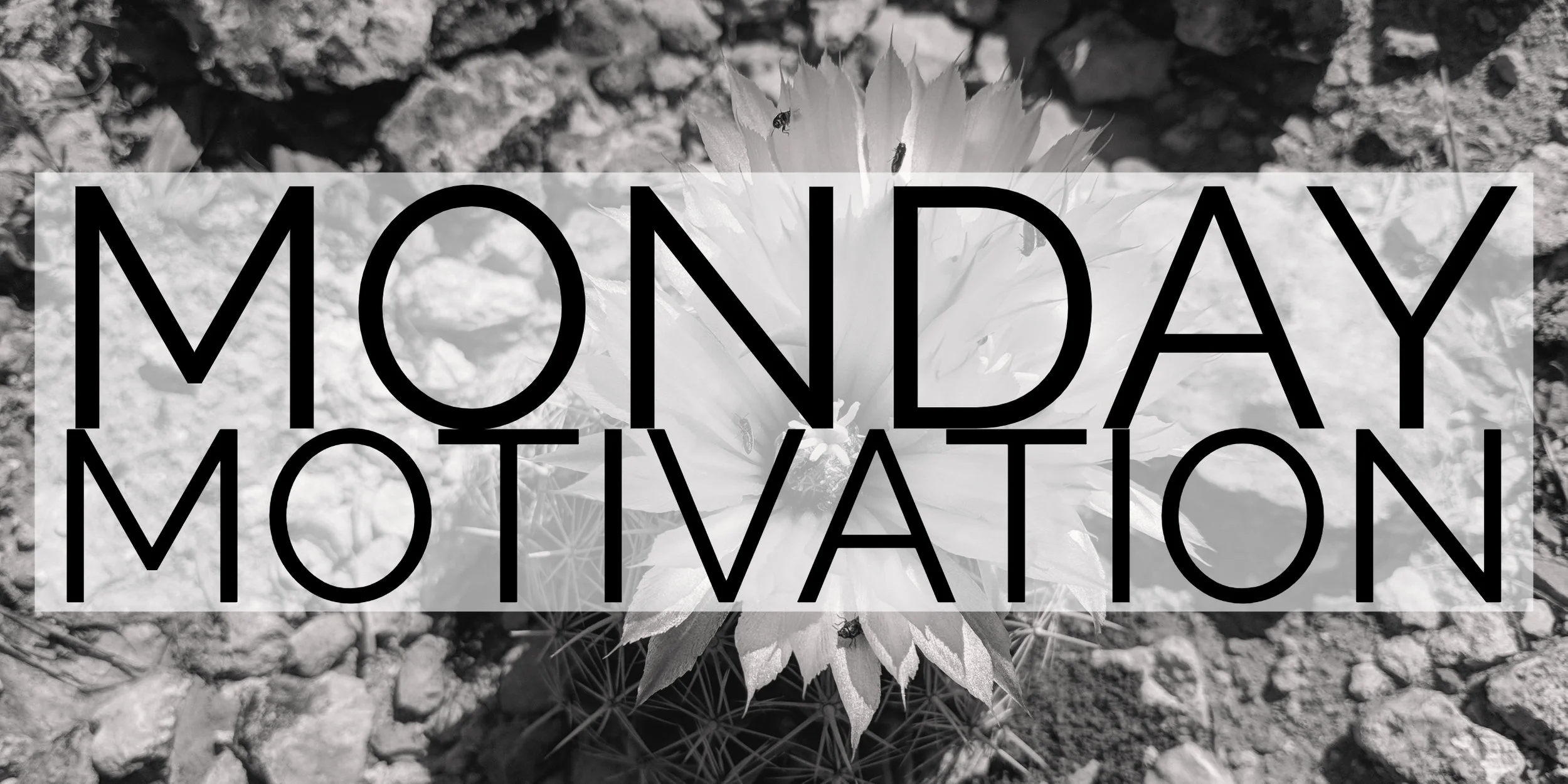 Monday Motivation Header Copy.jpg