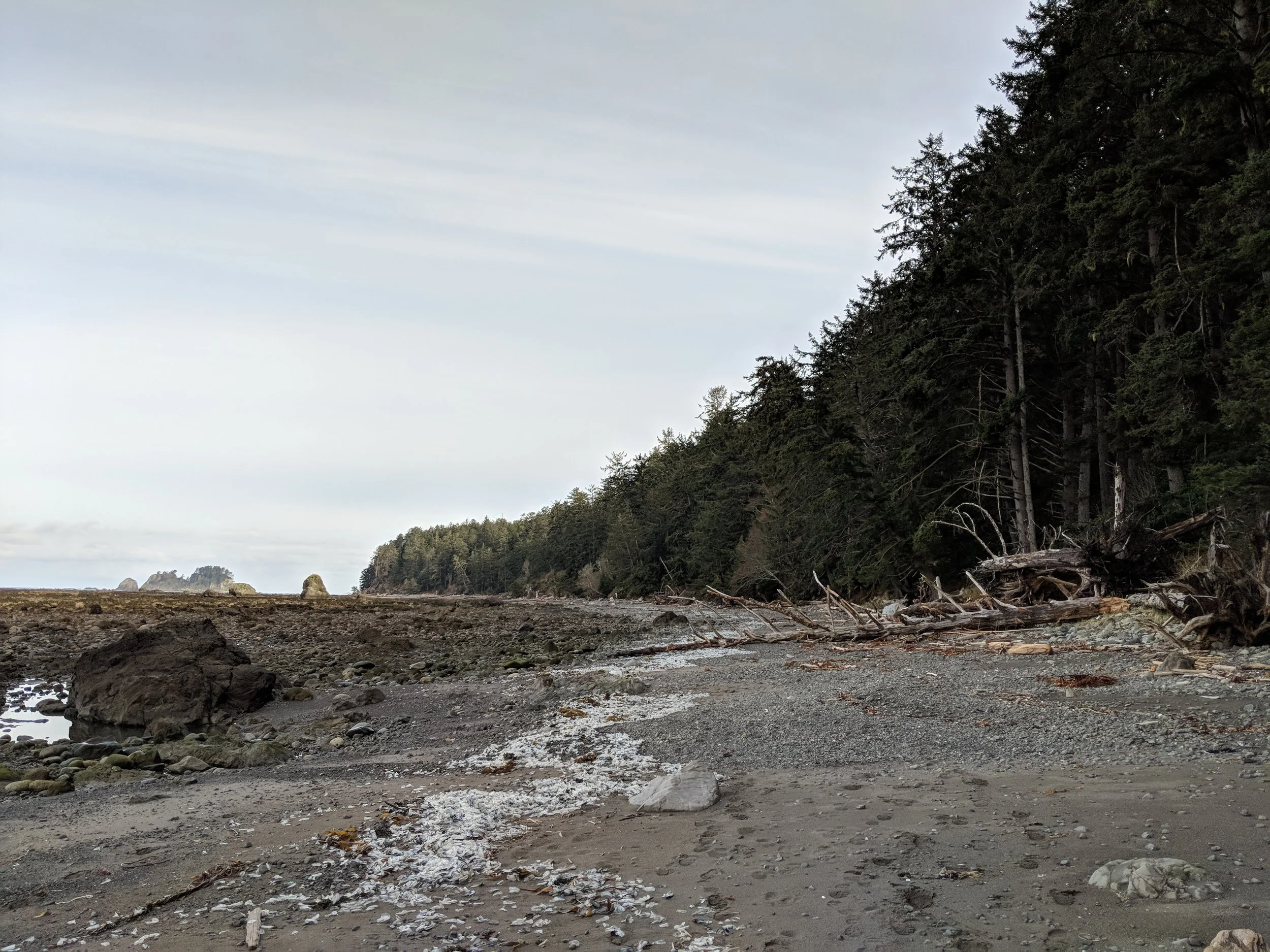 MVIMG_20180331_090628.jpg