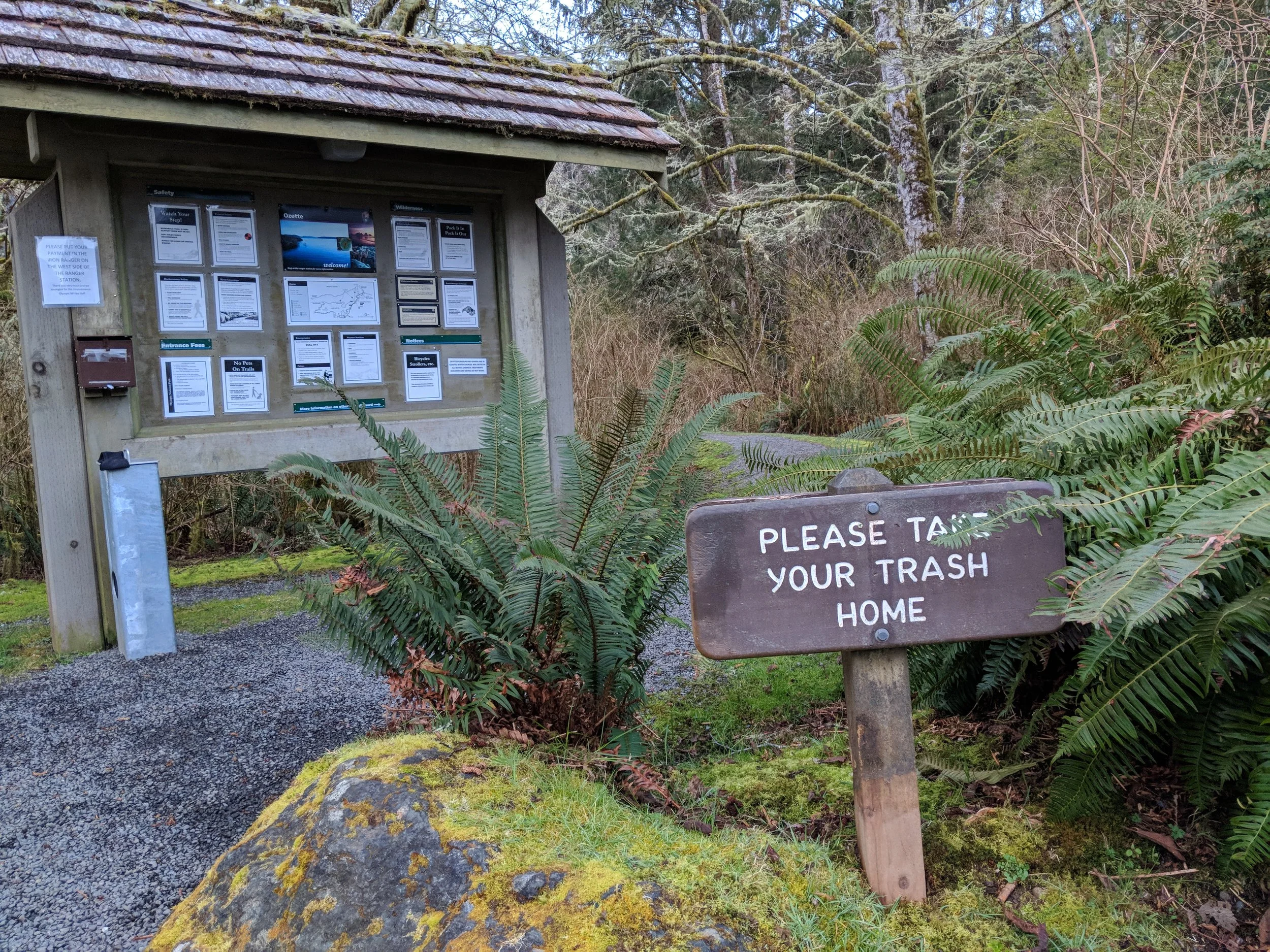 MVIMG_20180331_072054.jpg