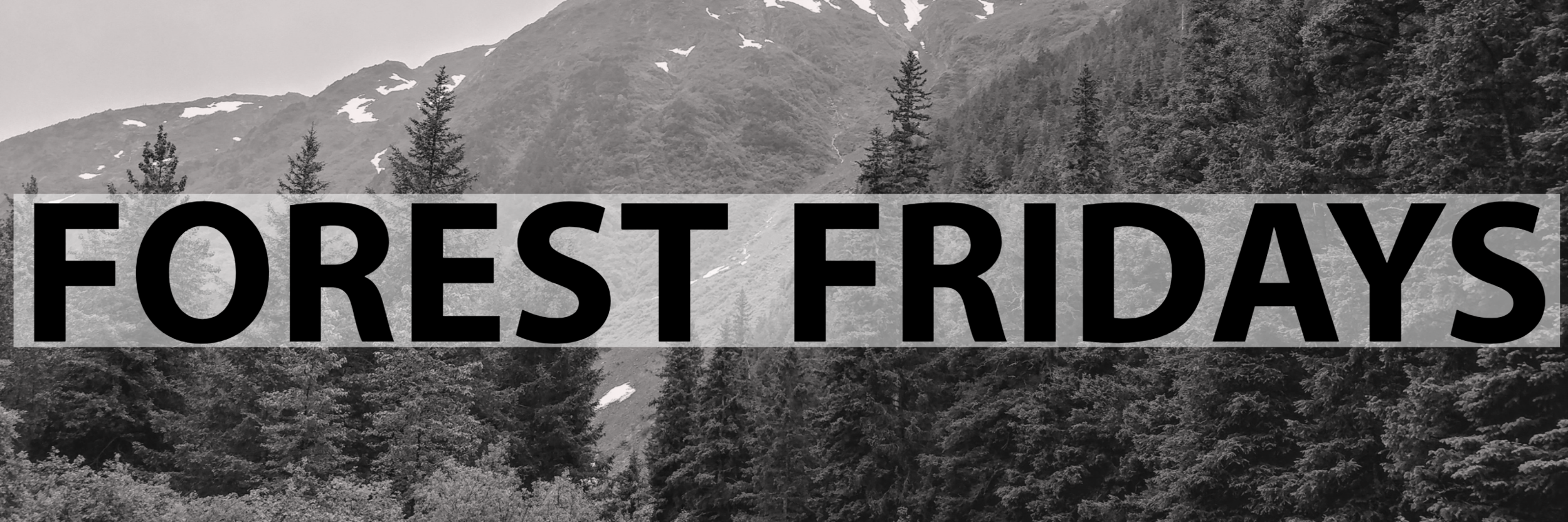 Forest Friday Header Copy.png