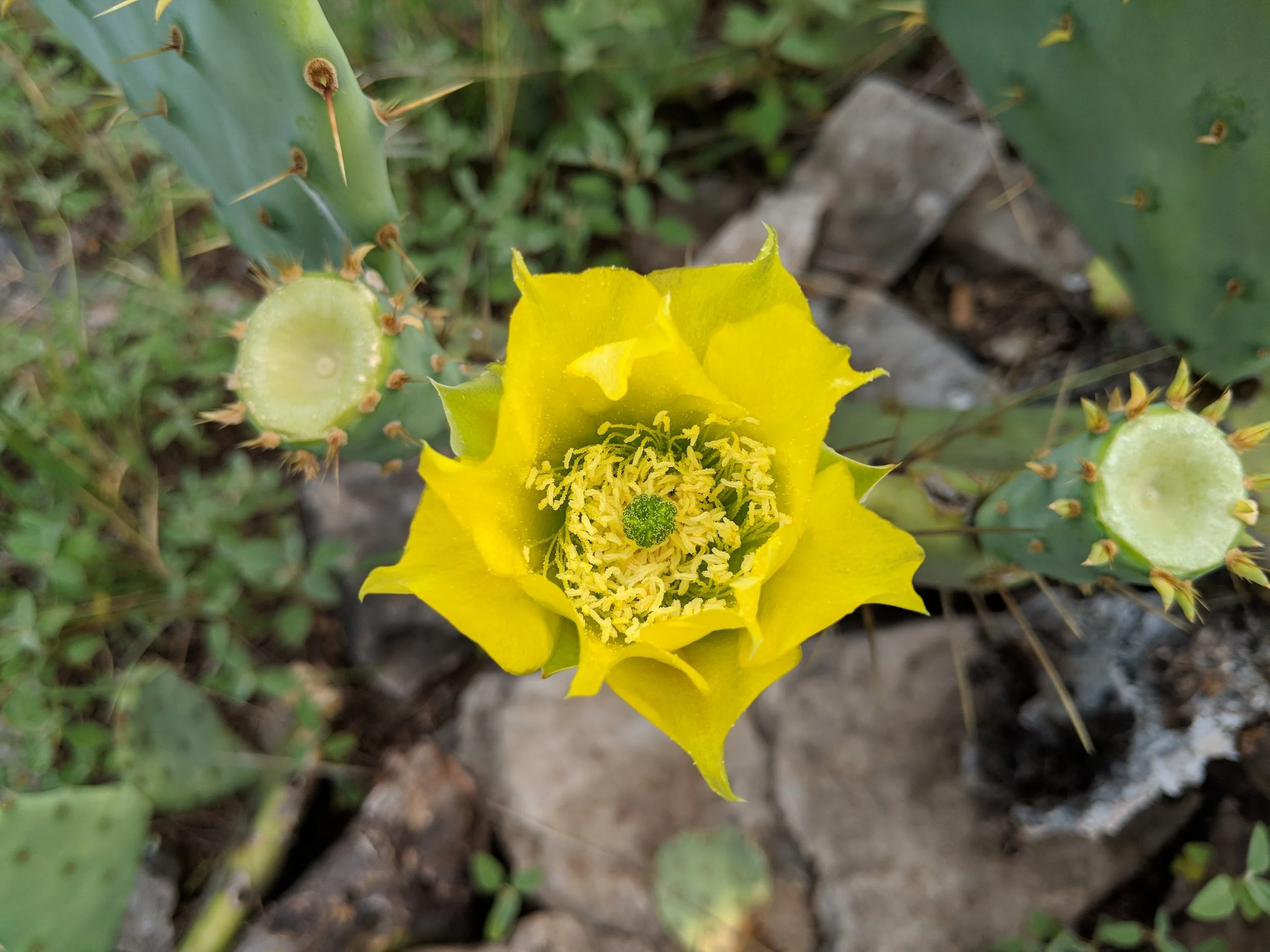 MVIMG_20180519_100858.jpg