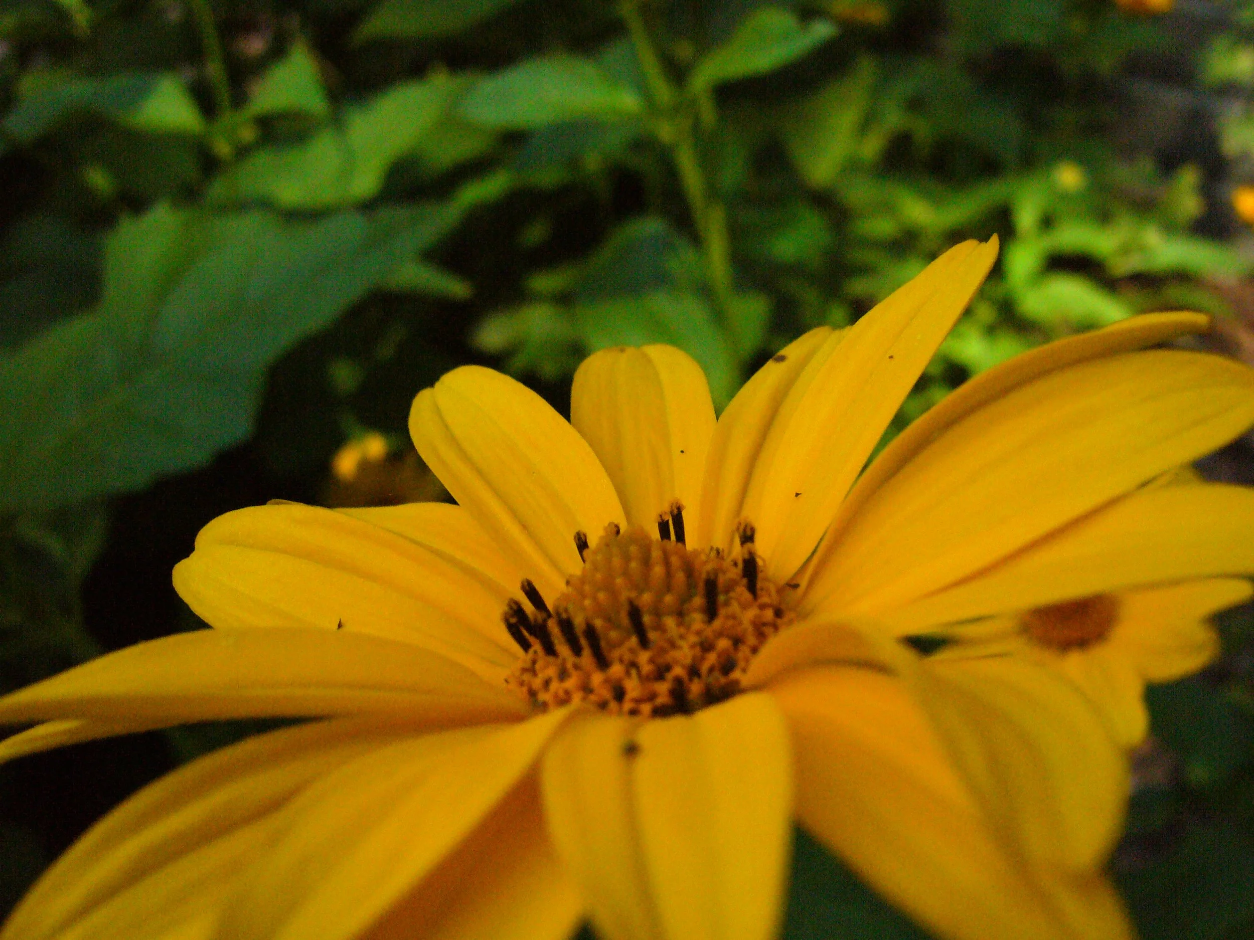P1050214.JPG