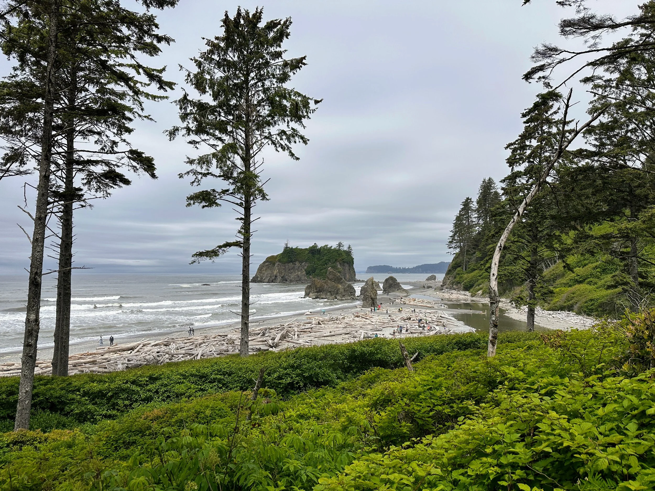 Ruby Beach - Olympic NP