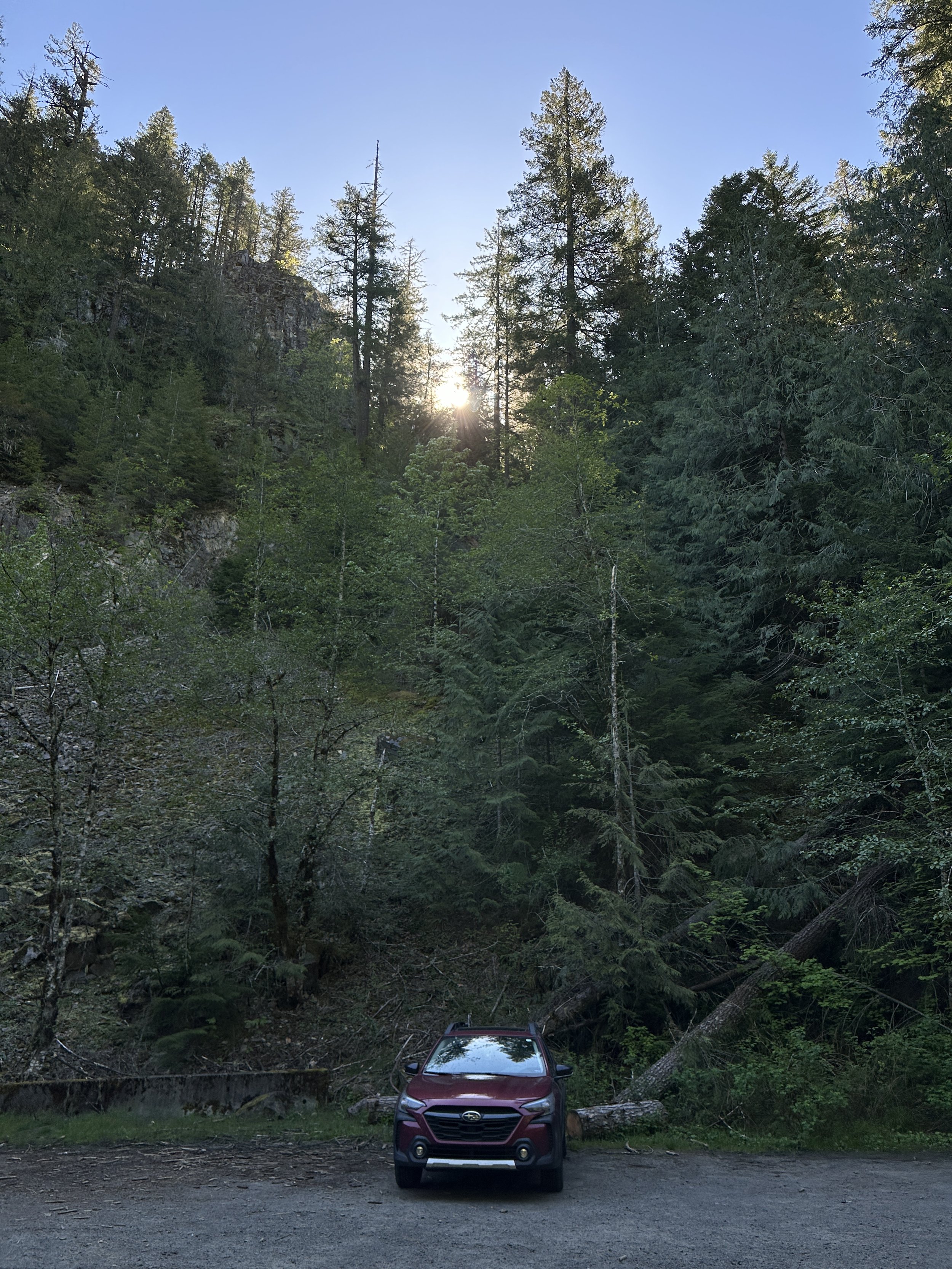 IMG_7074.jpeg