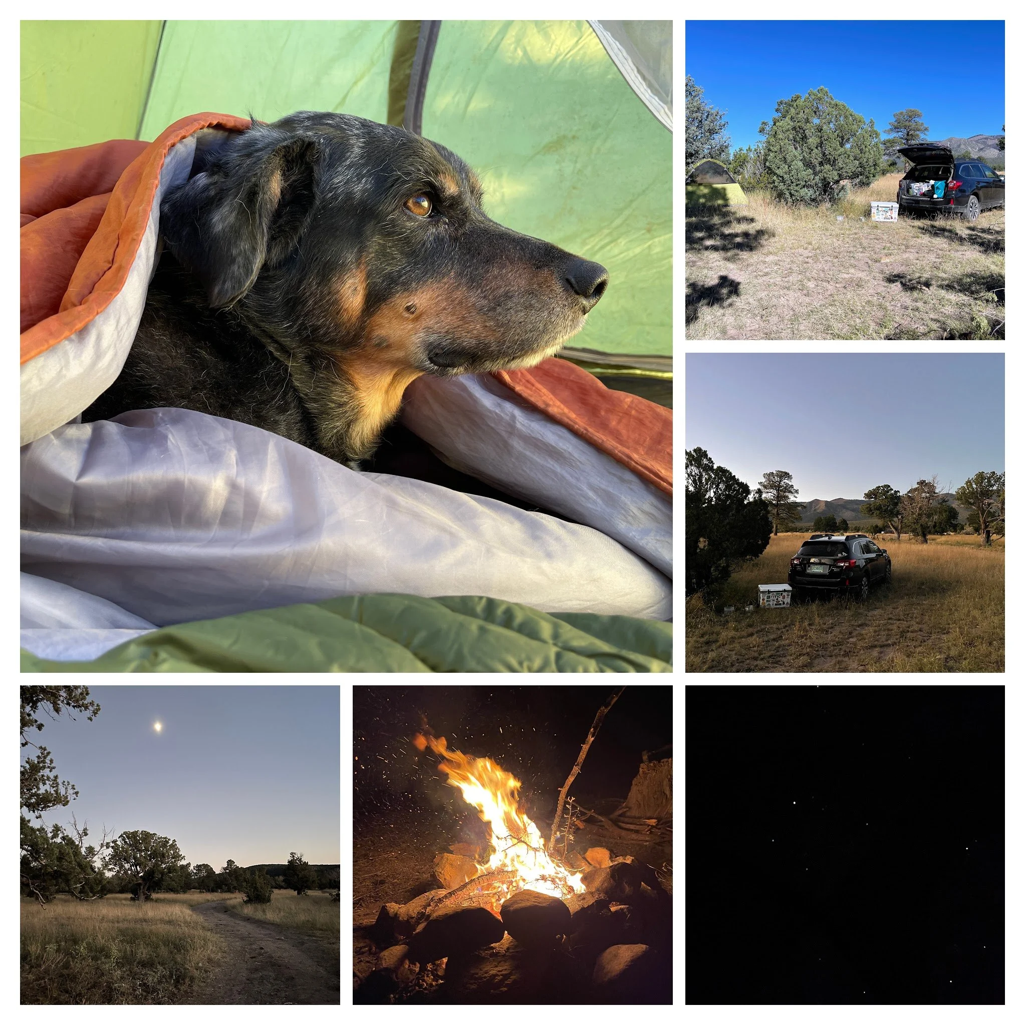 IMG_8211-COLLAGE.jpg