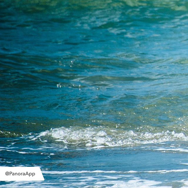 Doggo enjoying the sea. #dog #doggy #sea #beach #play #fortedeimarmi #tuscany #italy #panorama #photography #nikon #d3