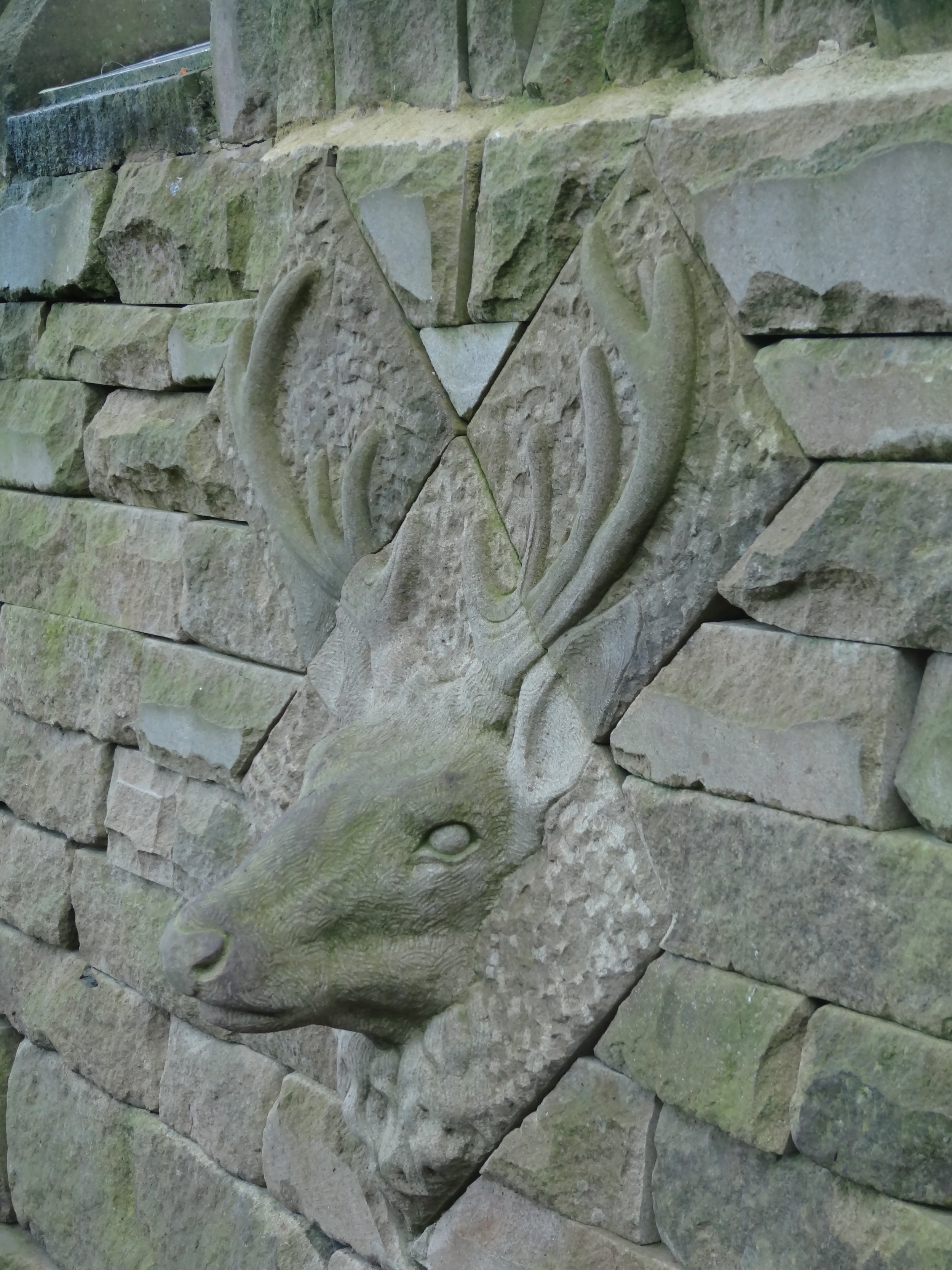 Red stag carved for Fountains Abbey