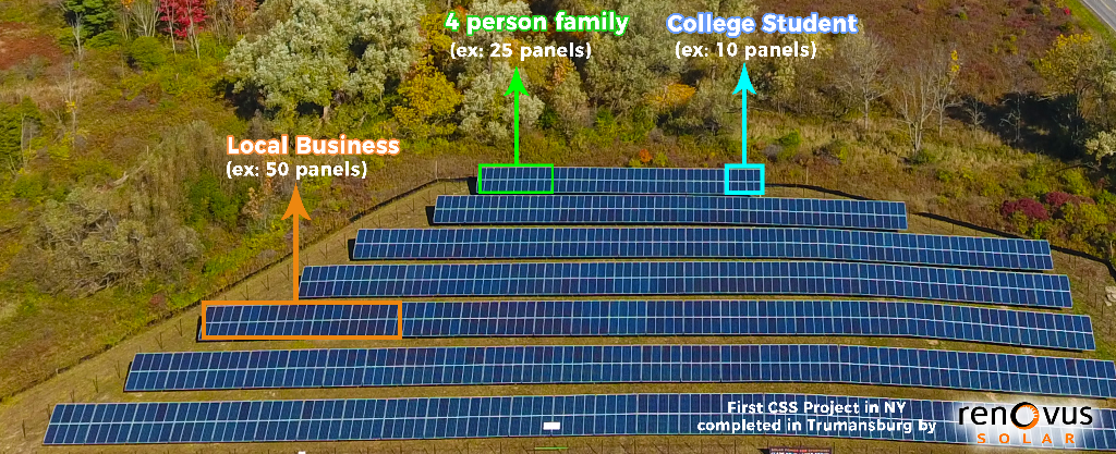 Image courtesy of Renovus Solar