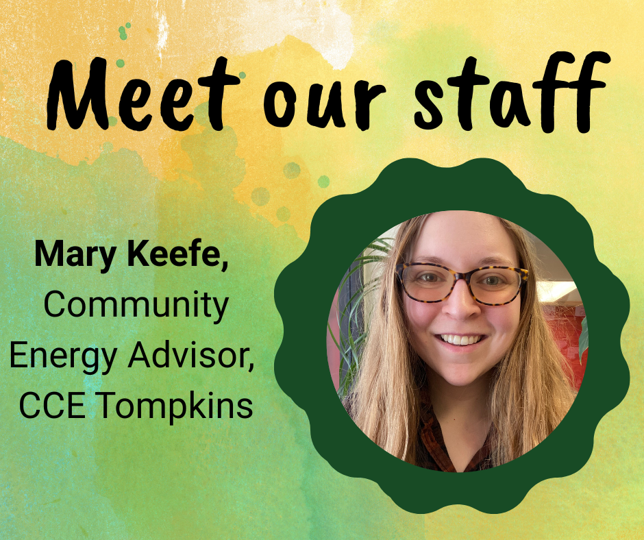 Meet Our Staff: Mary Keefe — Smart Energy Choices