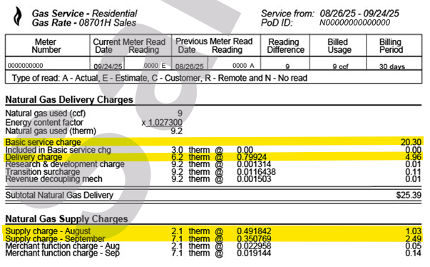 Sample image of a utility bill from New York state electric and gas