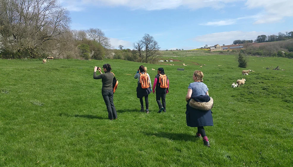 Cotswold Way 2.jpg