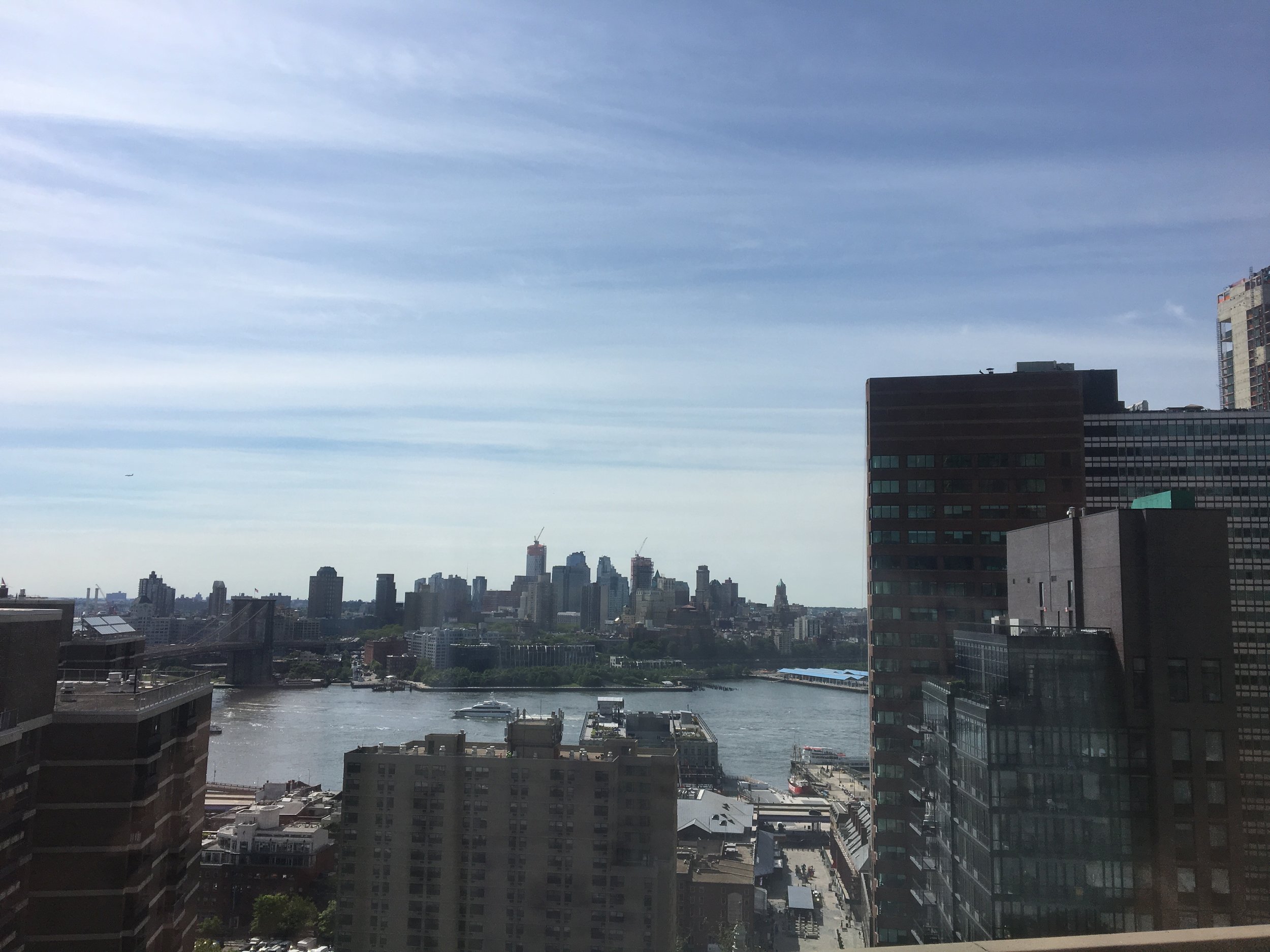 IMG_3974.jpeg