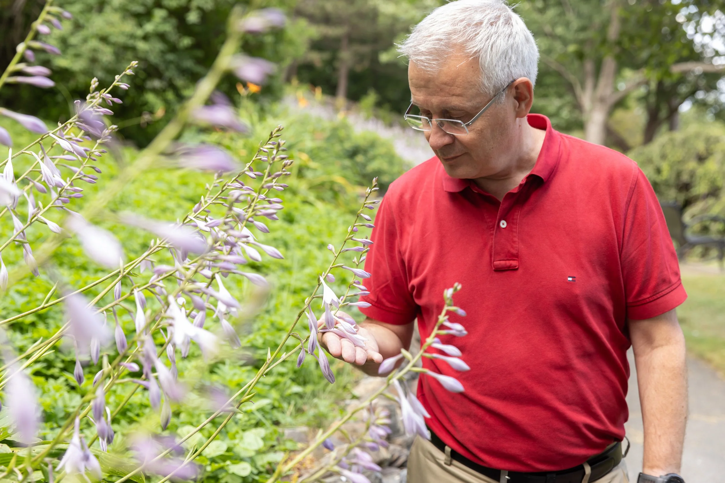 Organisational Development Inspired by Nature