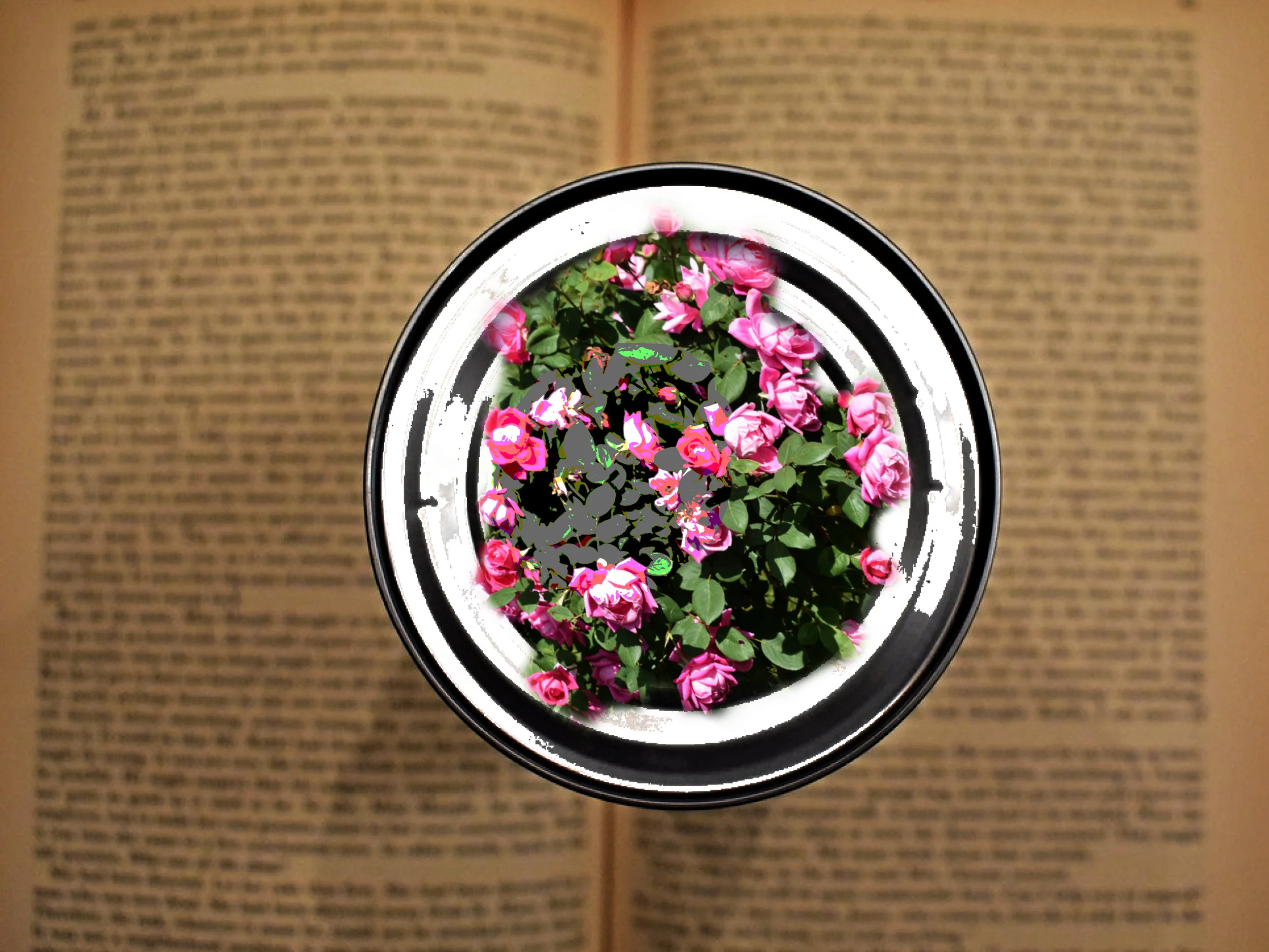 Canned Flowers On An Open Book.jpg