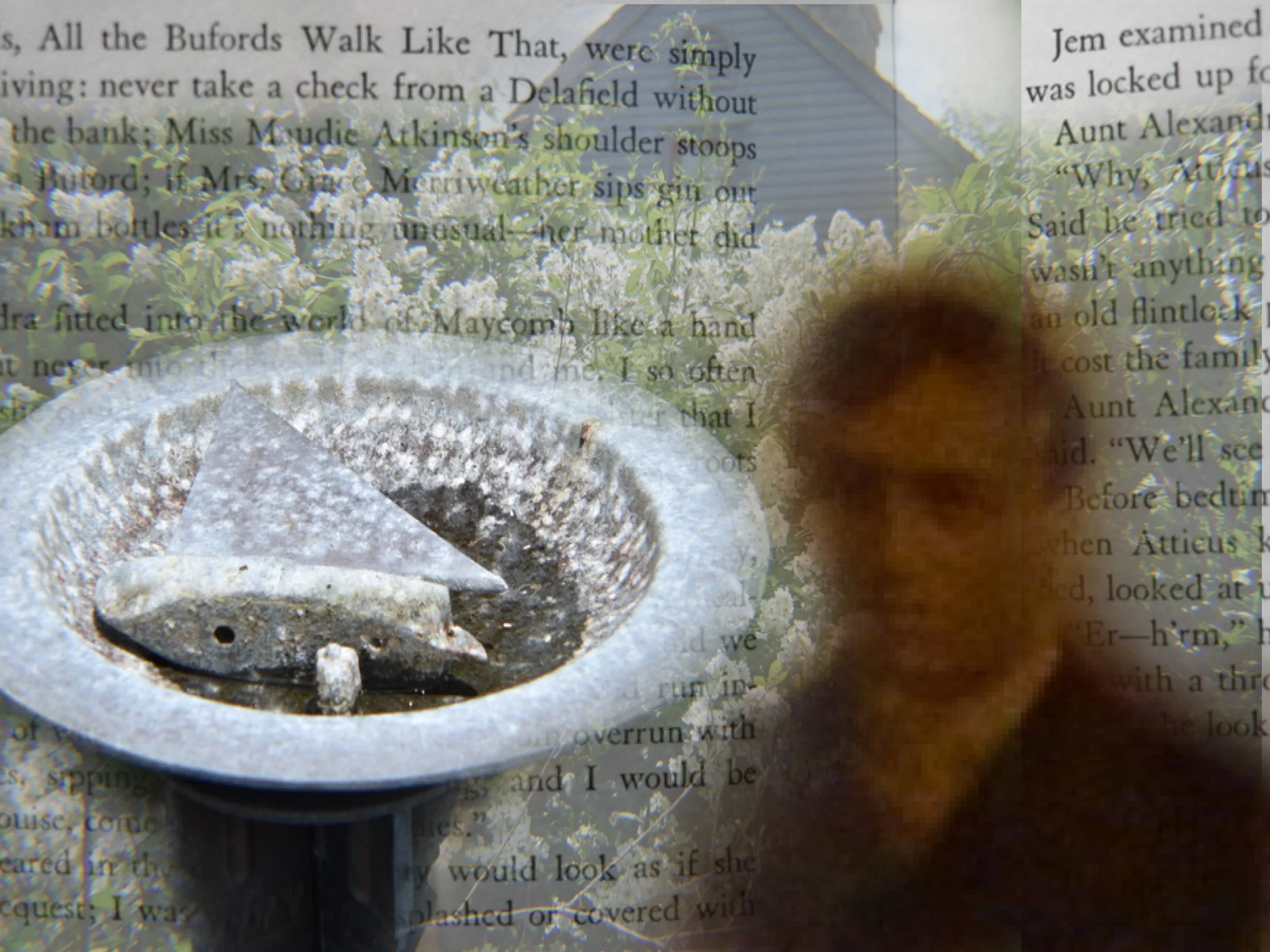 Fountain and Portrait.jpg