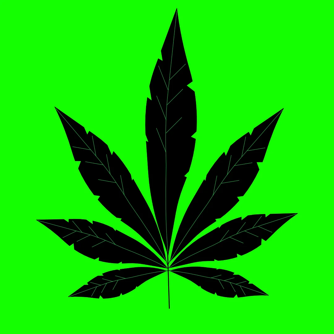 back leaf green background.jpg