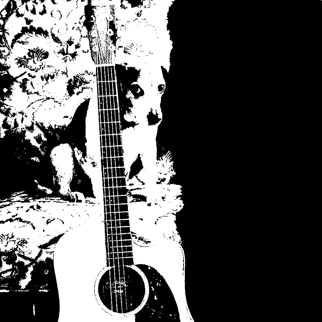 Dog_Guitar_nocolor.png