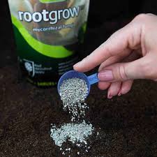 rootgrowscoop.jpg