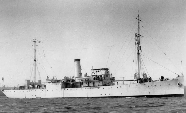 HMS Chrysanthemum, built by Harland & Wolff, Belfast in 1940 Transferred on 26 January 1942 to the Free French Navy as Commandant Drogou. Returned to the RN in May 1947. Sold on 7 August 1947. Resold in 1948 as mercantile Terje 10. Resold in 23 May 1959 to Portugal as hydrographic survey vessel NRP Caravalho Araujo (A524) until 3 September 1975 when she was transfer to Angola's Navy.