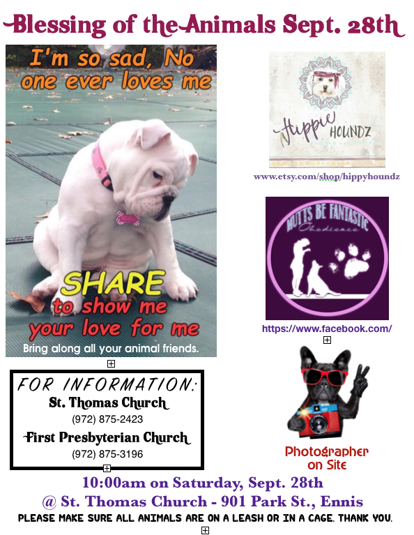 Screen Shot 2019-09-20 at 11.14.10 AM.png