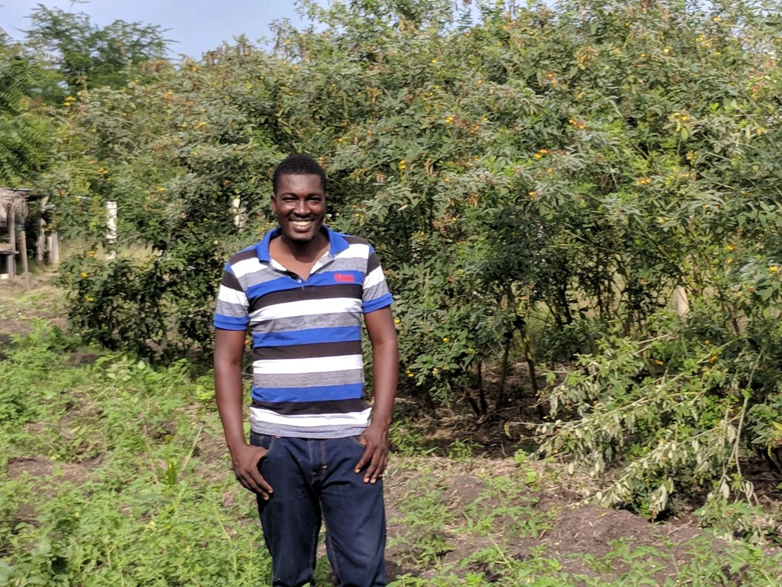 Raphael stands in front of Congo beans, the crop of January.