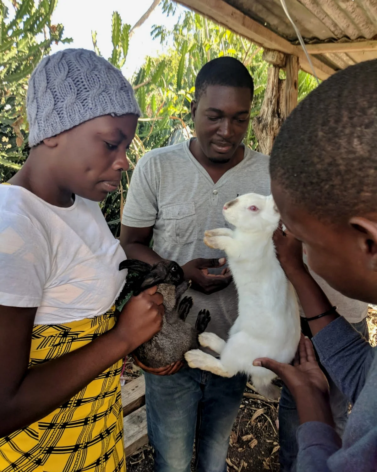 Garden club learned how to properly handle rabbits.