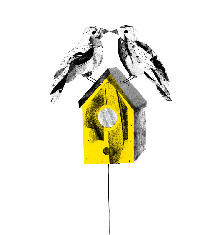 passaros-casa.gif