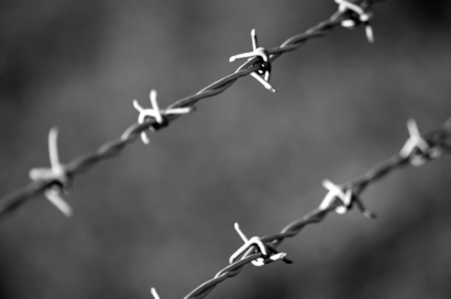 barbed wire.jpg